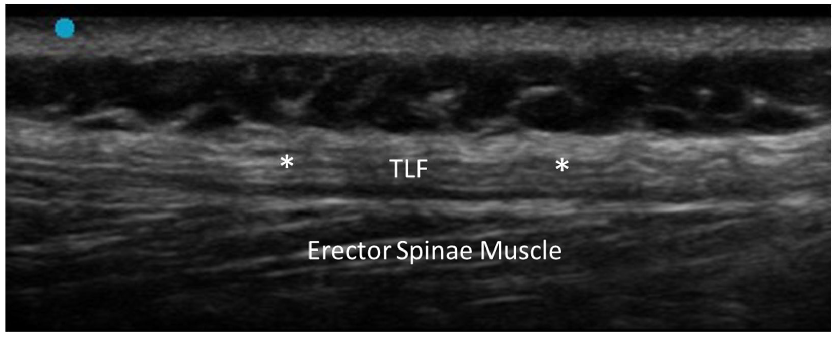 Diagnostics 15 01180 g002