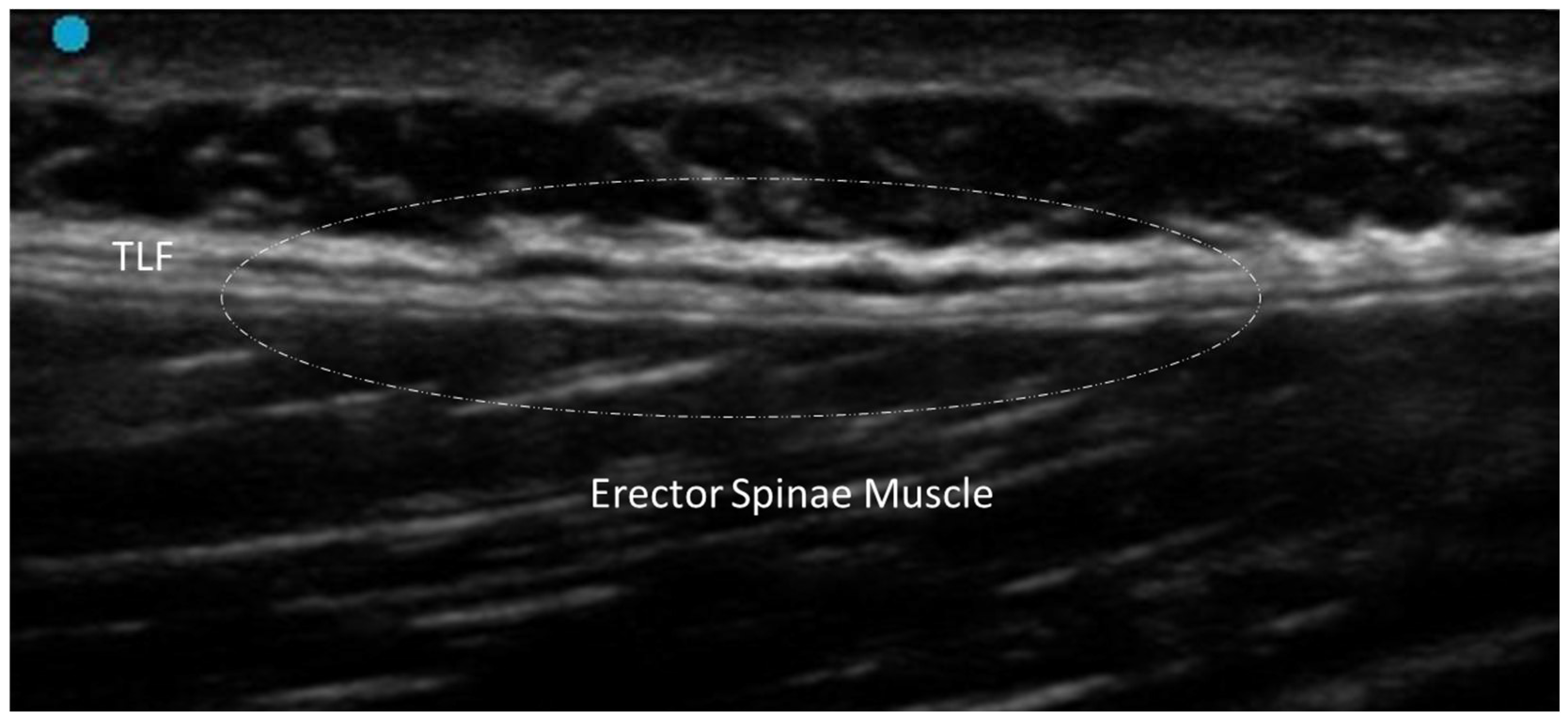 Diagnostics 15 01180 g003