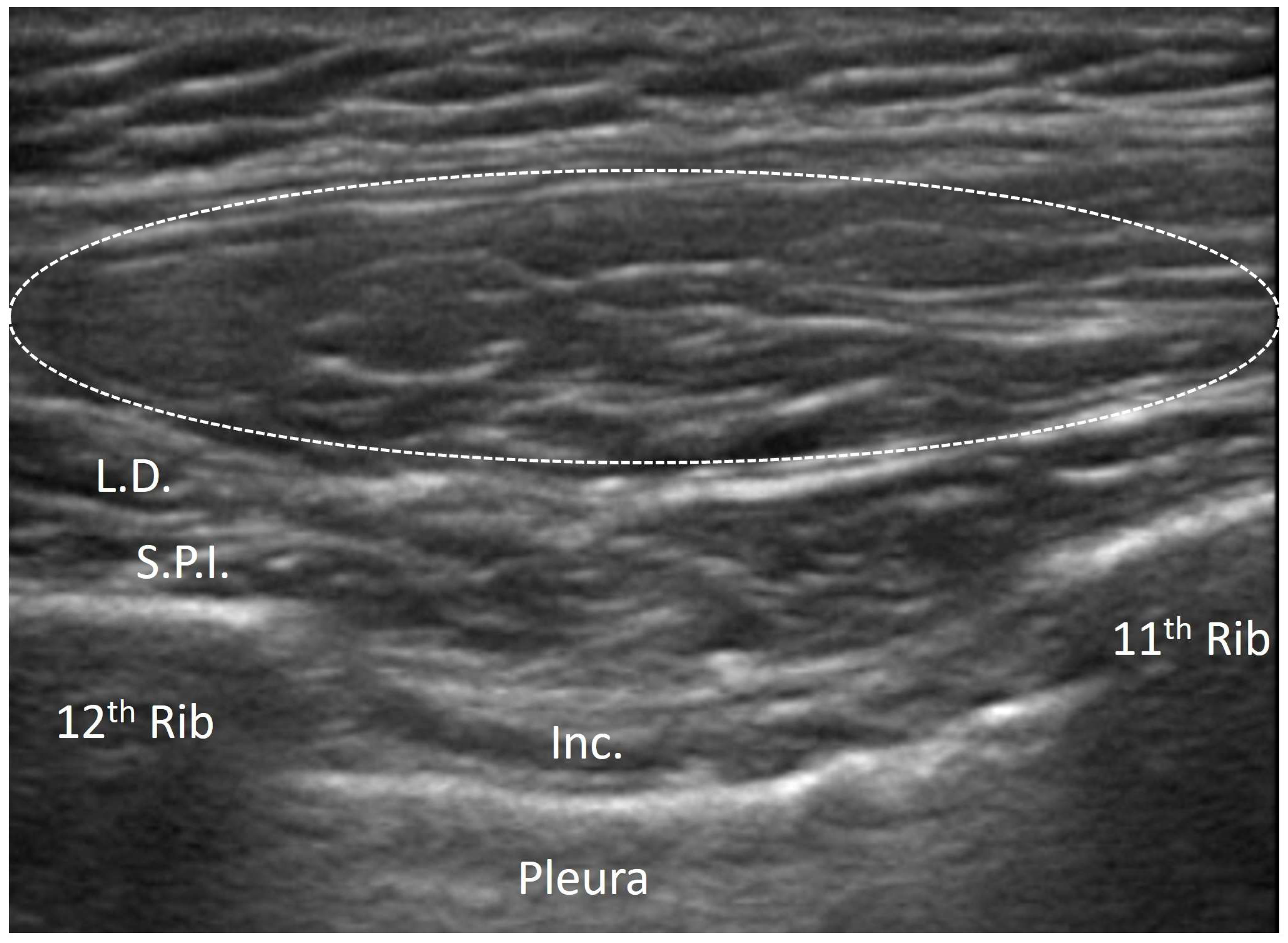 Diagnostics 15 01180 g007