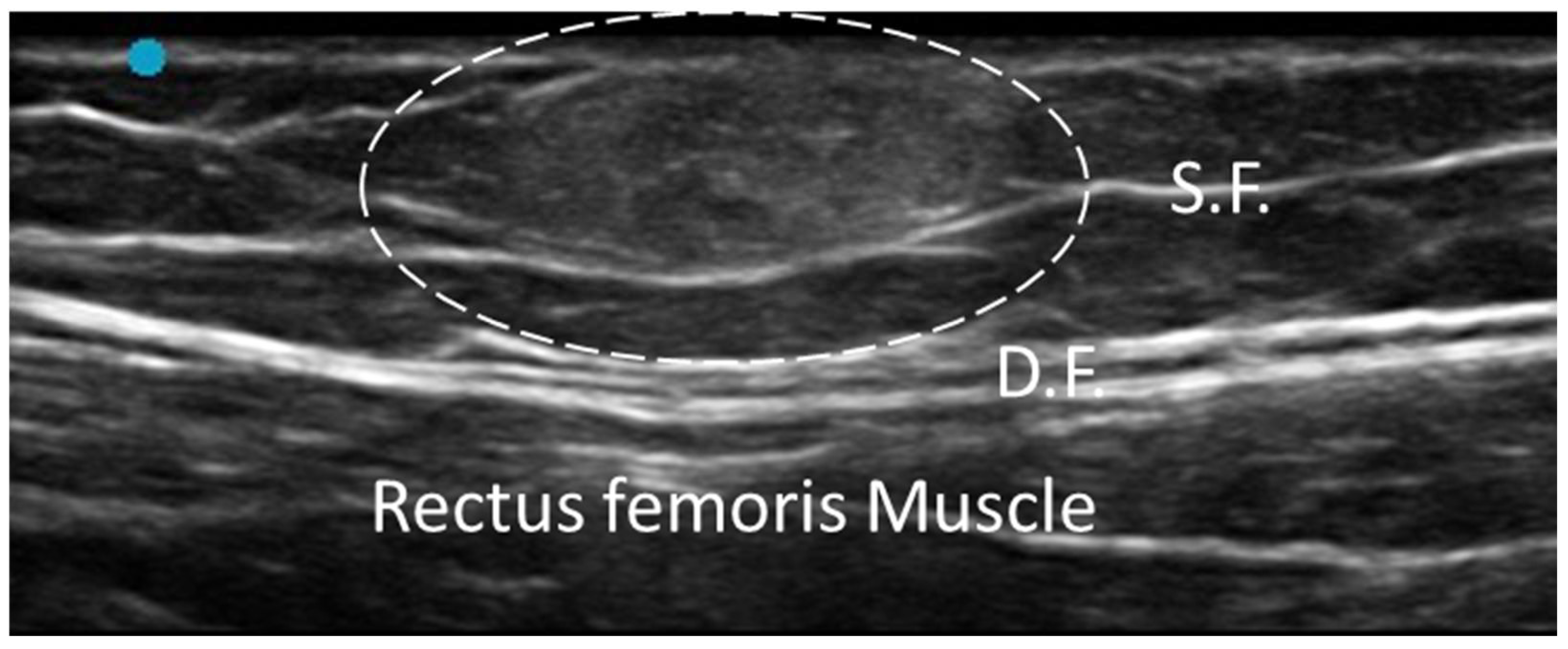 Diagnostics 15 01180 g008