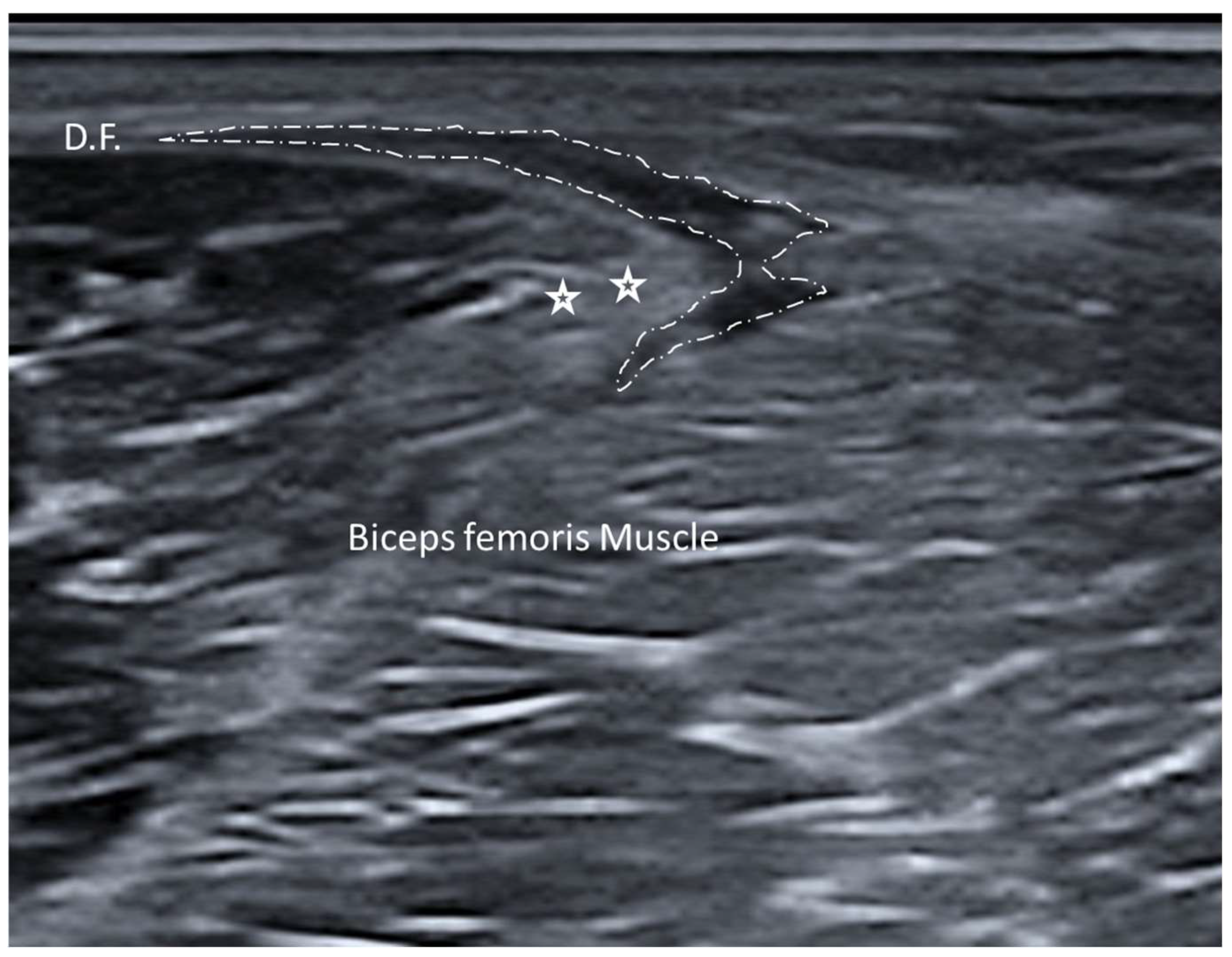 Diagnostics 15 01180 g009