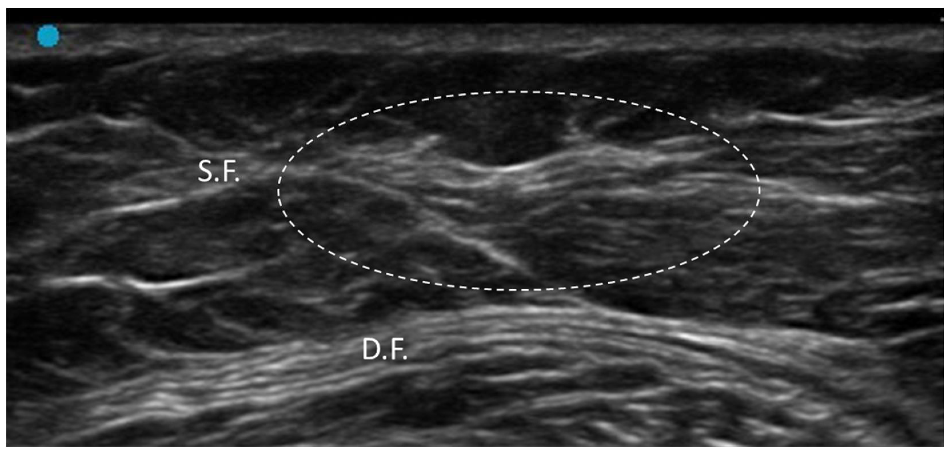 Diagnostics 15 01180 g014