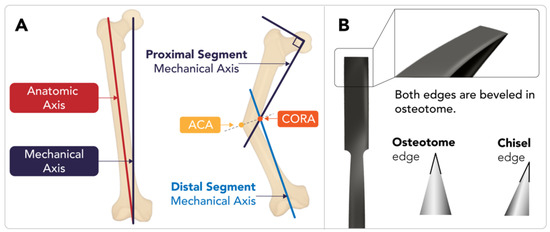 Diagnostics 15 01184 g001