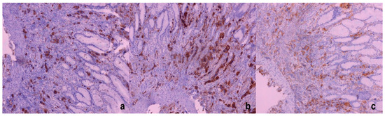 Diagnostics 15 01219 g002