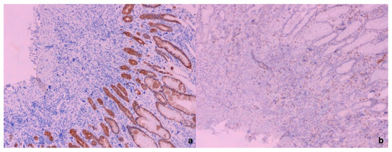 Diagnostics 15 01219 g003
