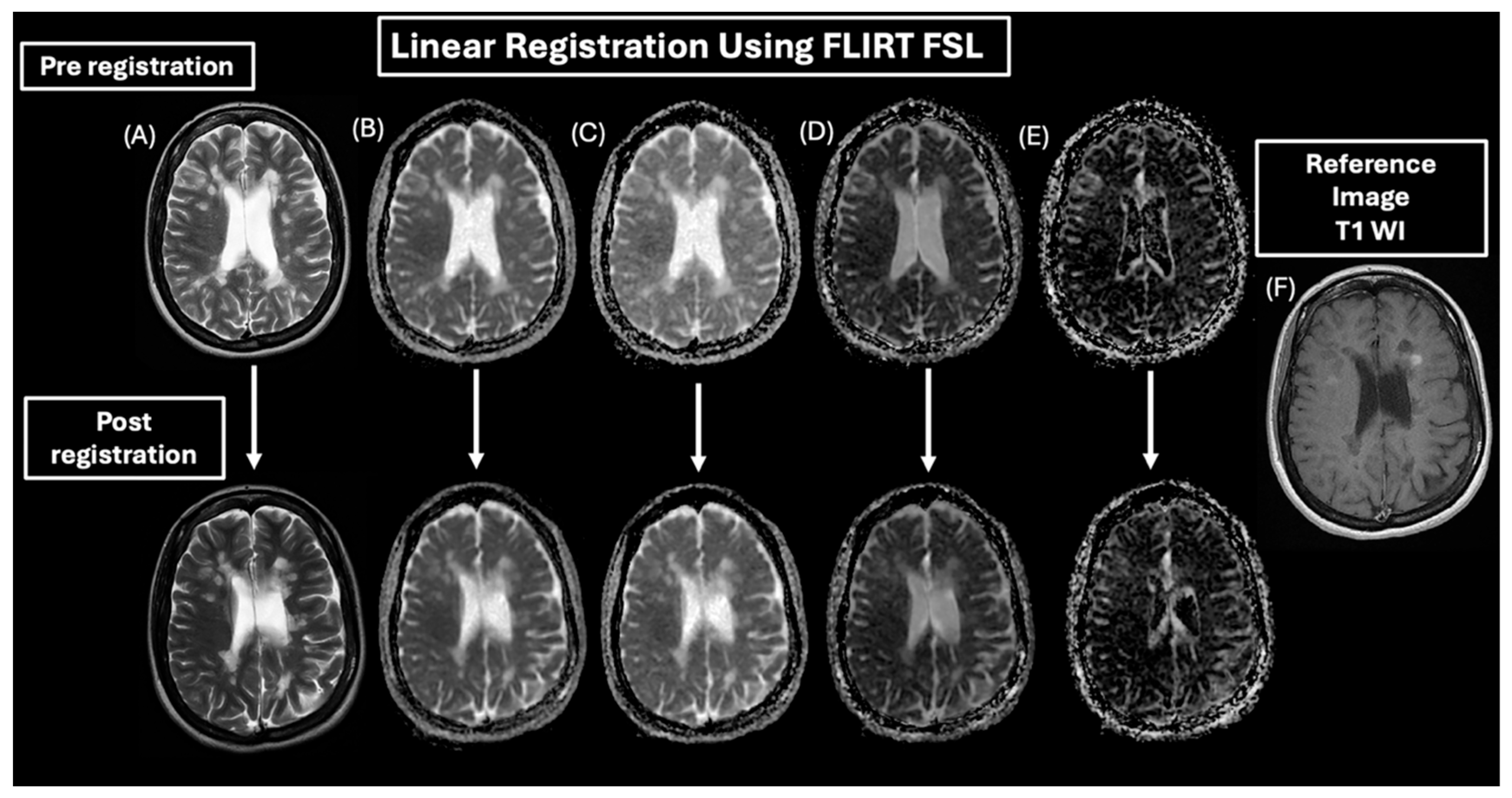 Diagnostics 15 01260 g003