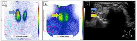 Diagnostics 15 01262 g001