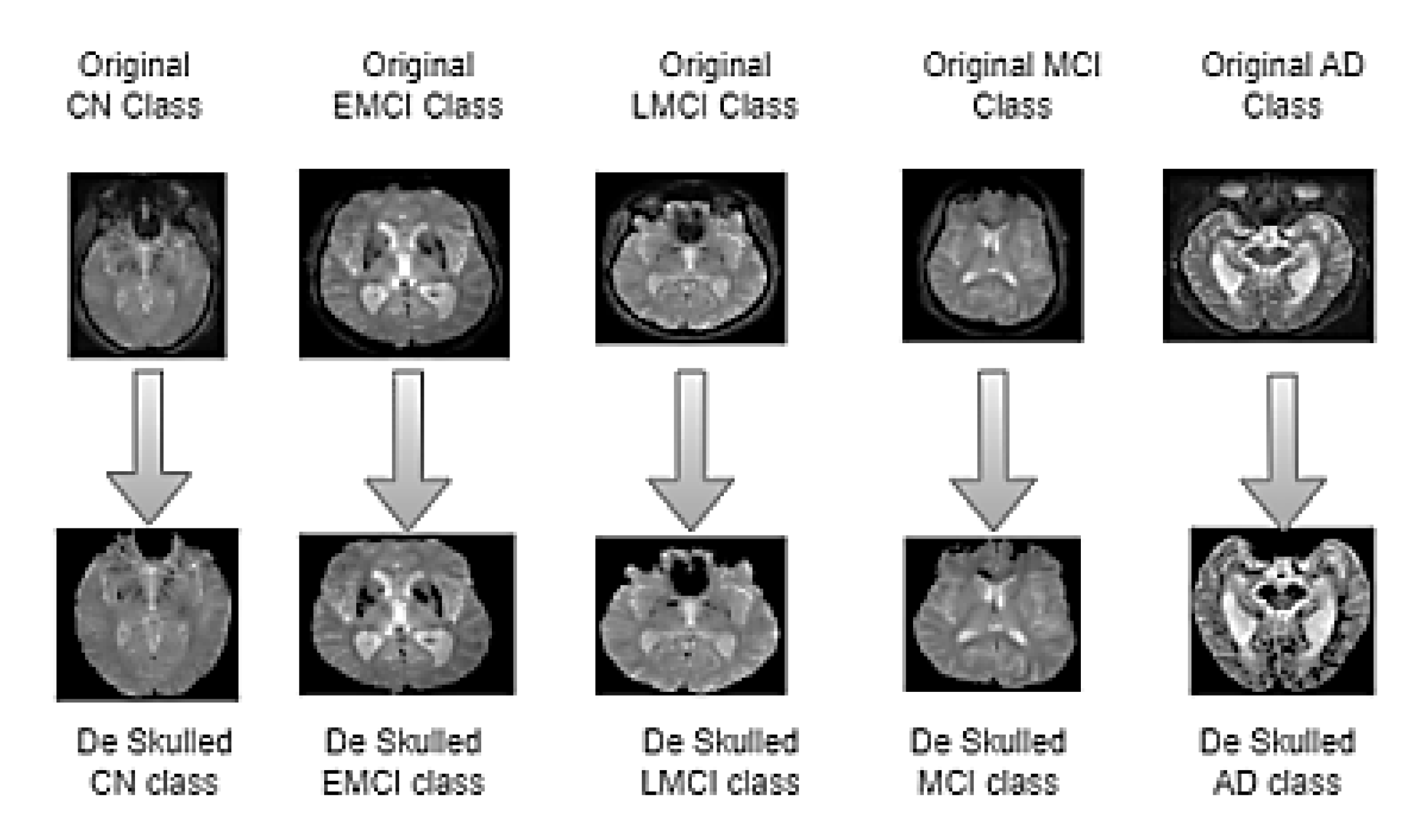 Diagnostics 15 01318 g002