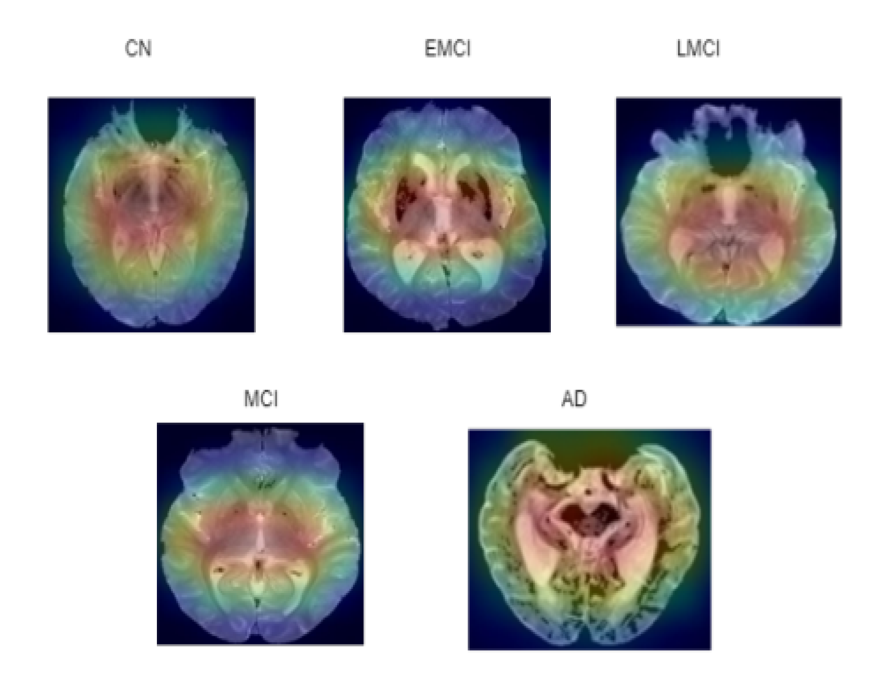 Diagnostics 15 01318 g017