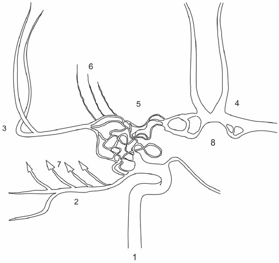 Diagnostics 15 01333 g005