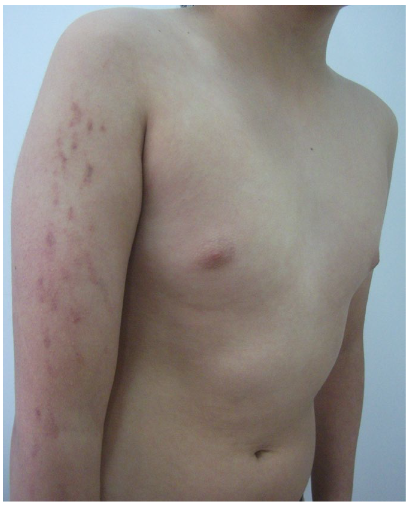 Diagnostics 15 01370 g001