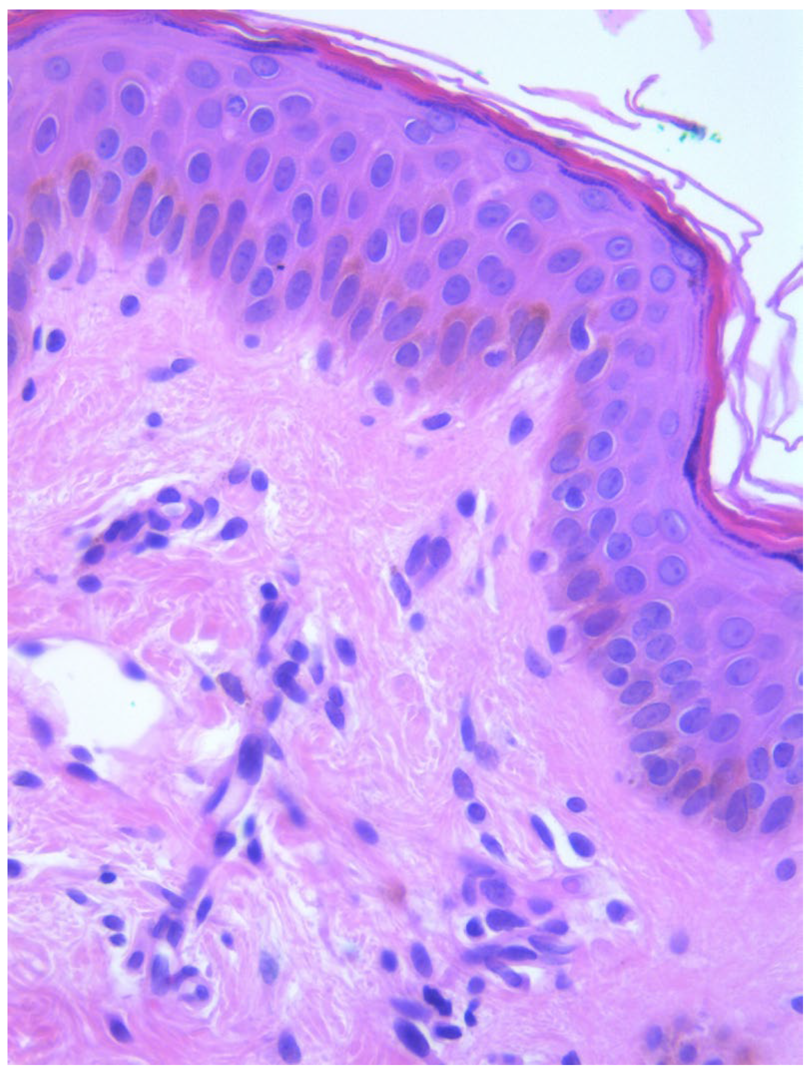 Diagnostics 15 01370 g003