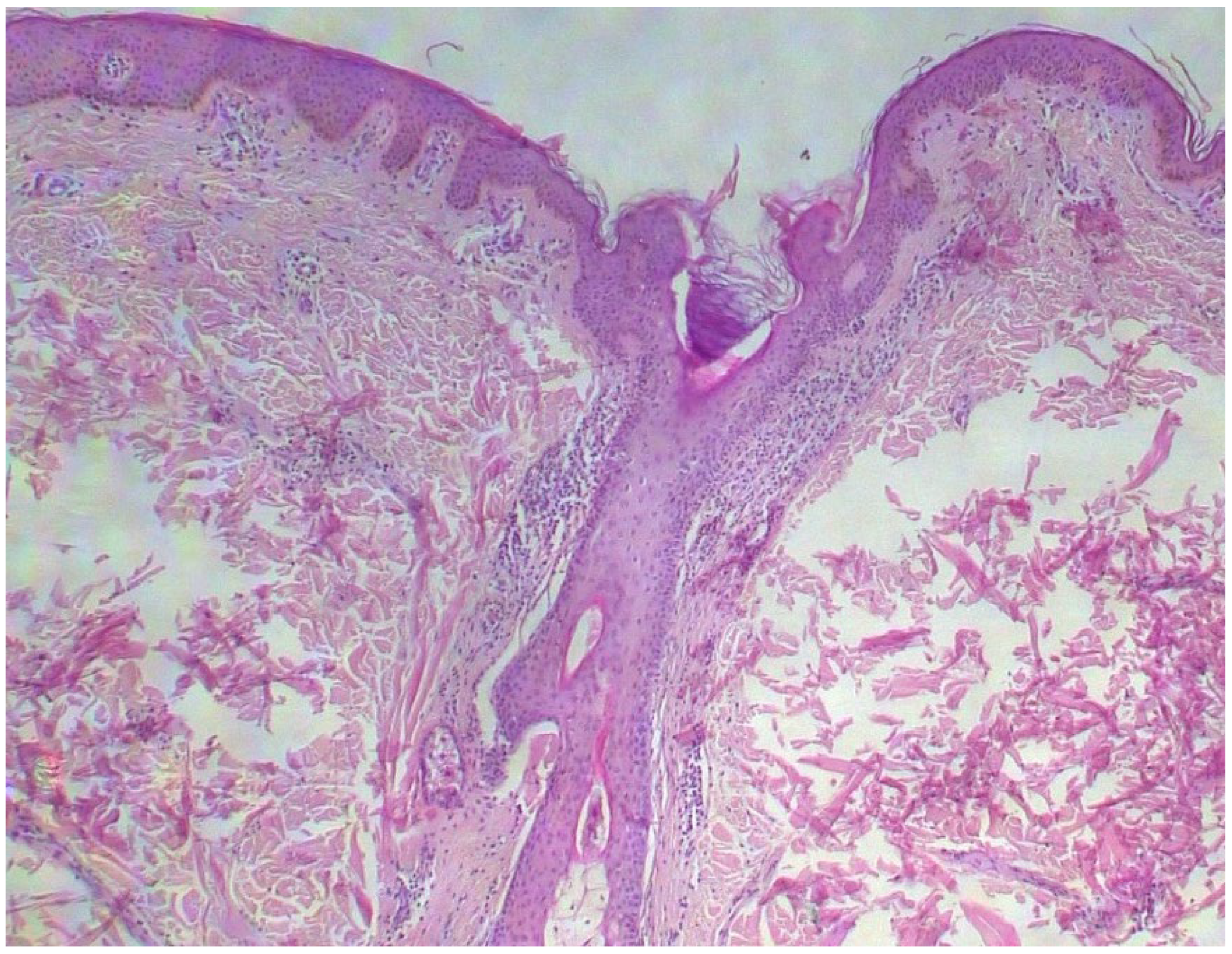 Diagnostics 15 01370 g006