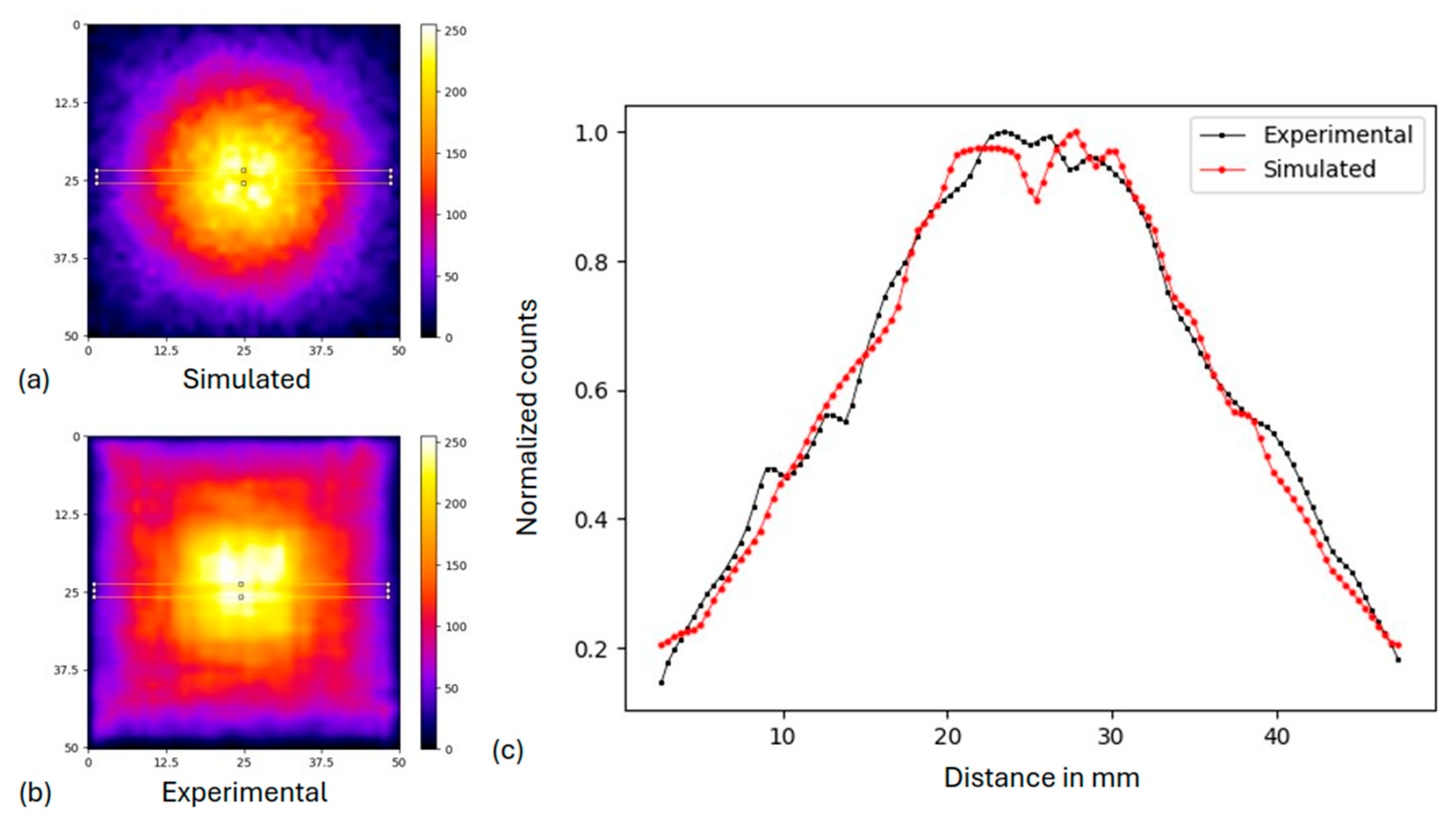 Diagnostics 15 01387 g006