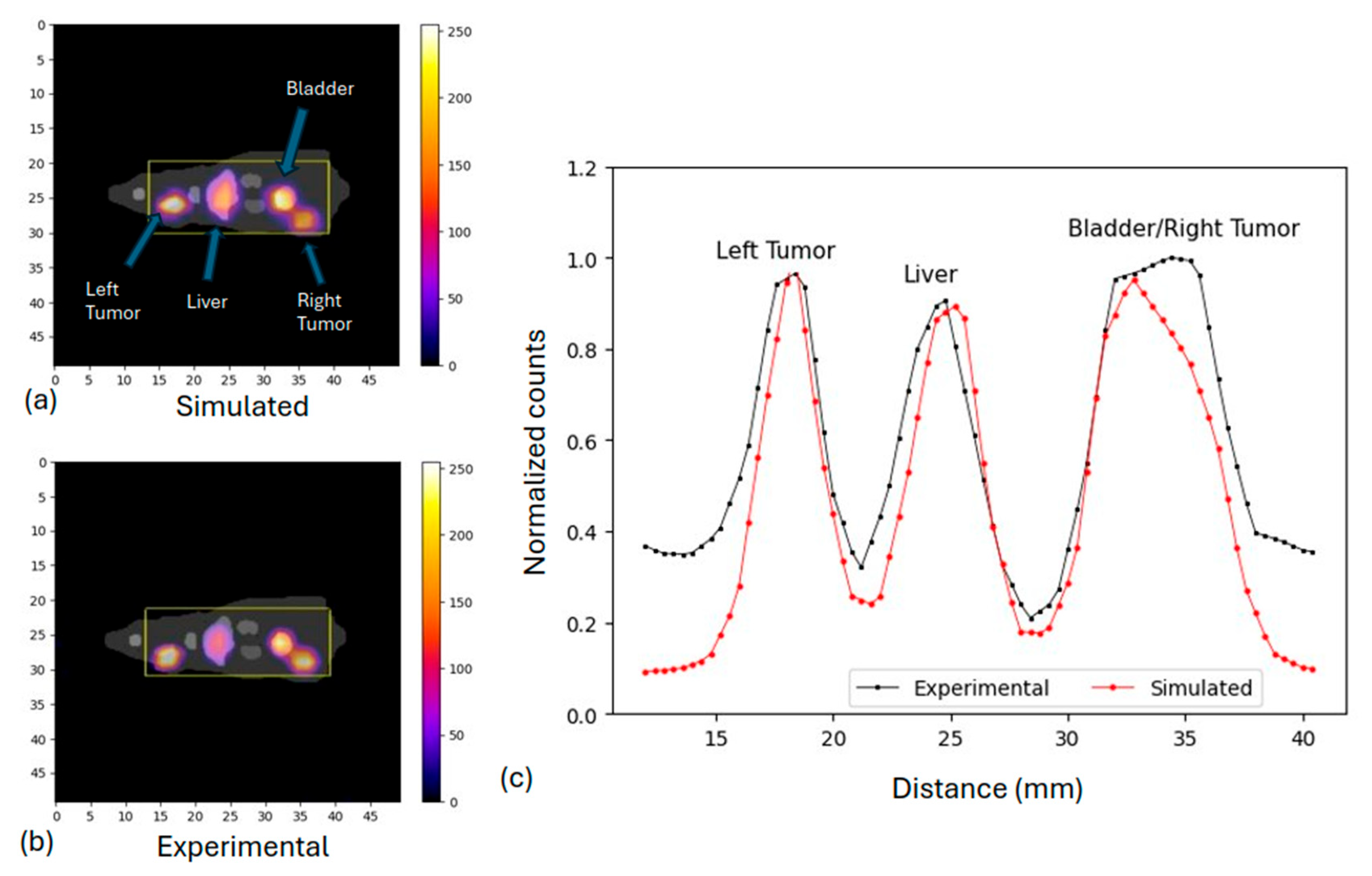 Diagnostics 15 01387 g010