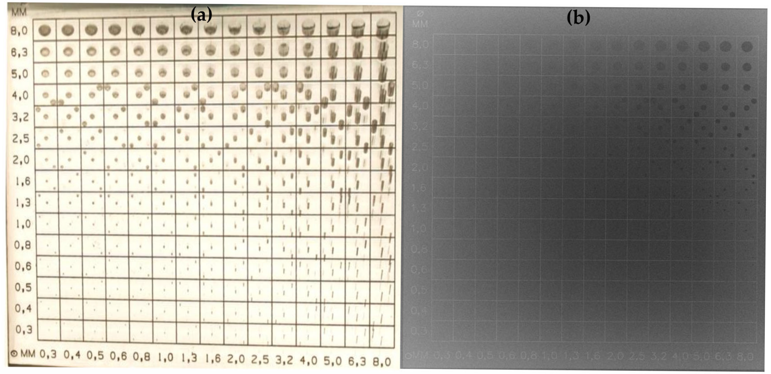 Diagnostics 15 01391 g002