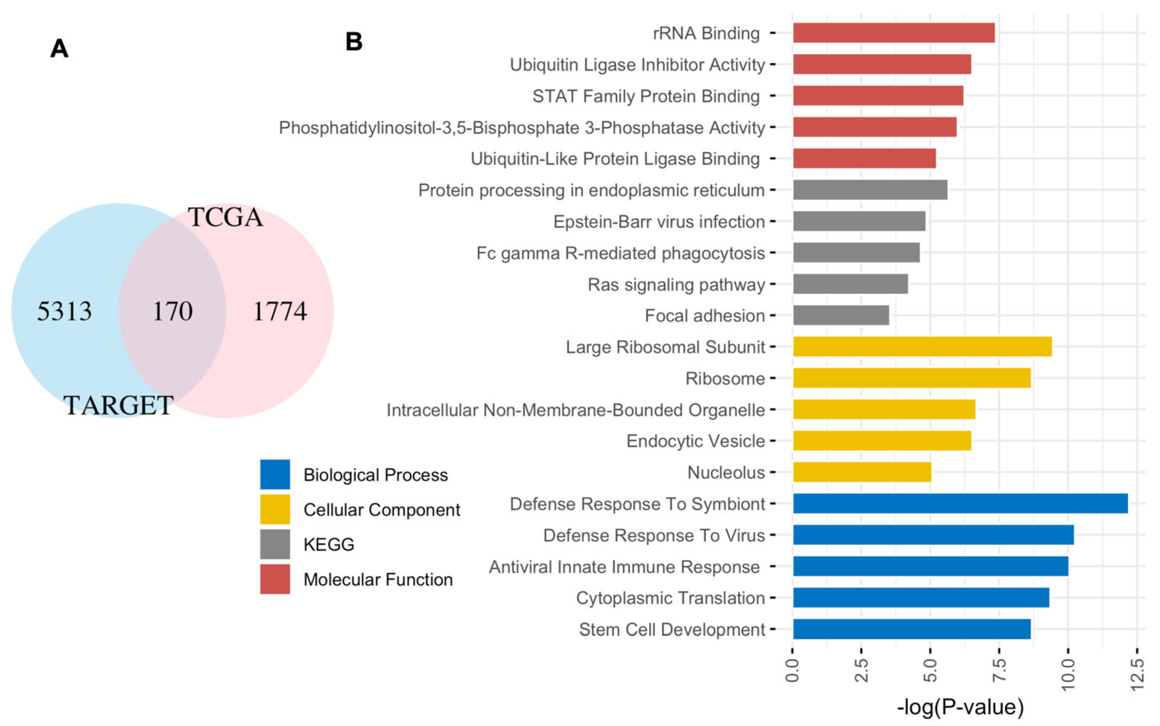 Diagnostics 15 01421 g001
