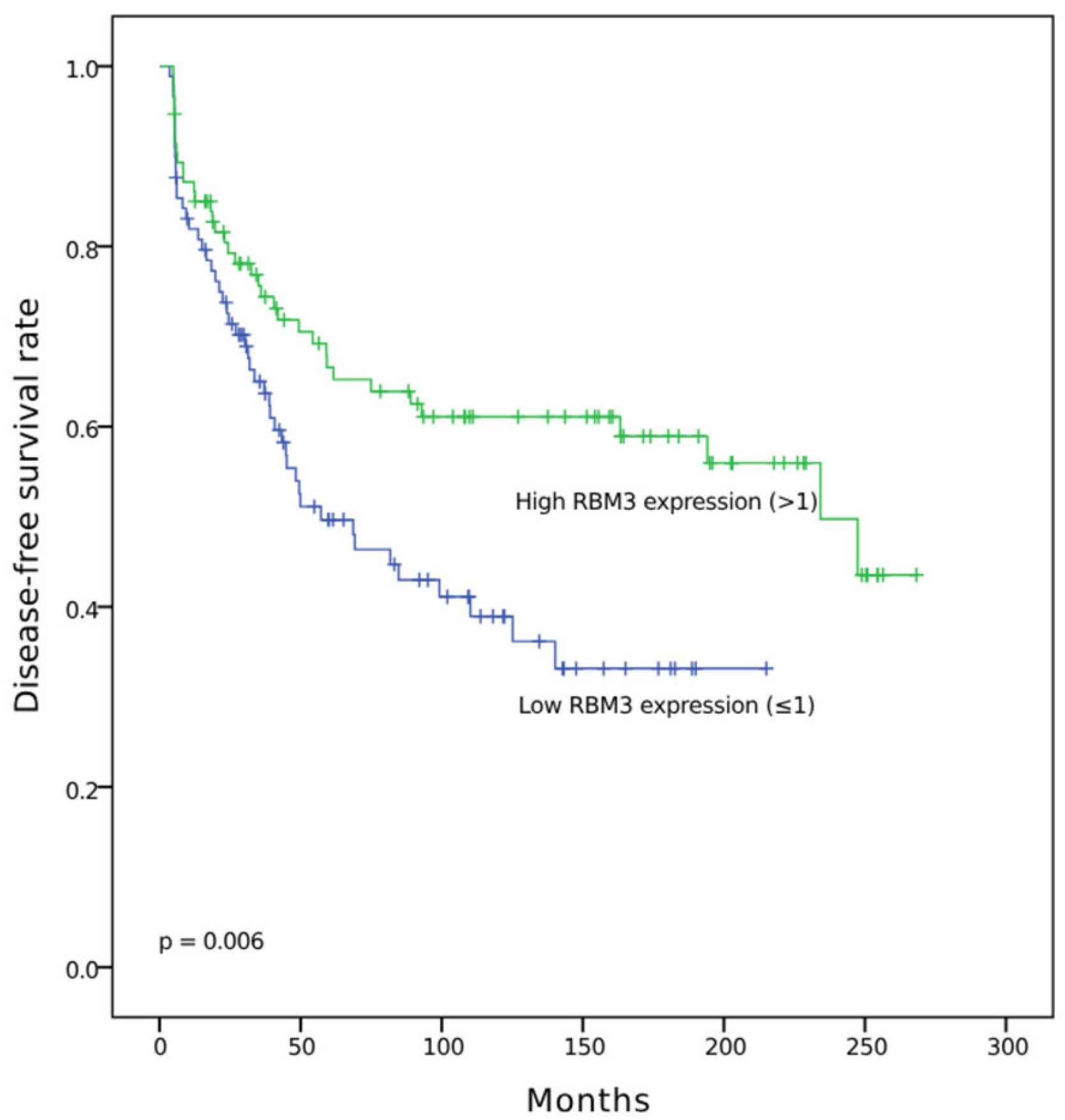 Diagnostics 15 01426 g003