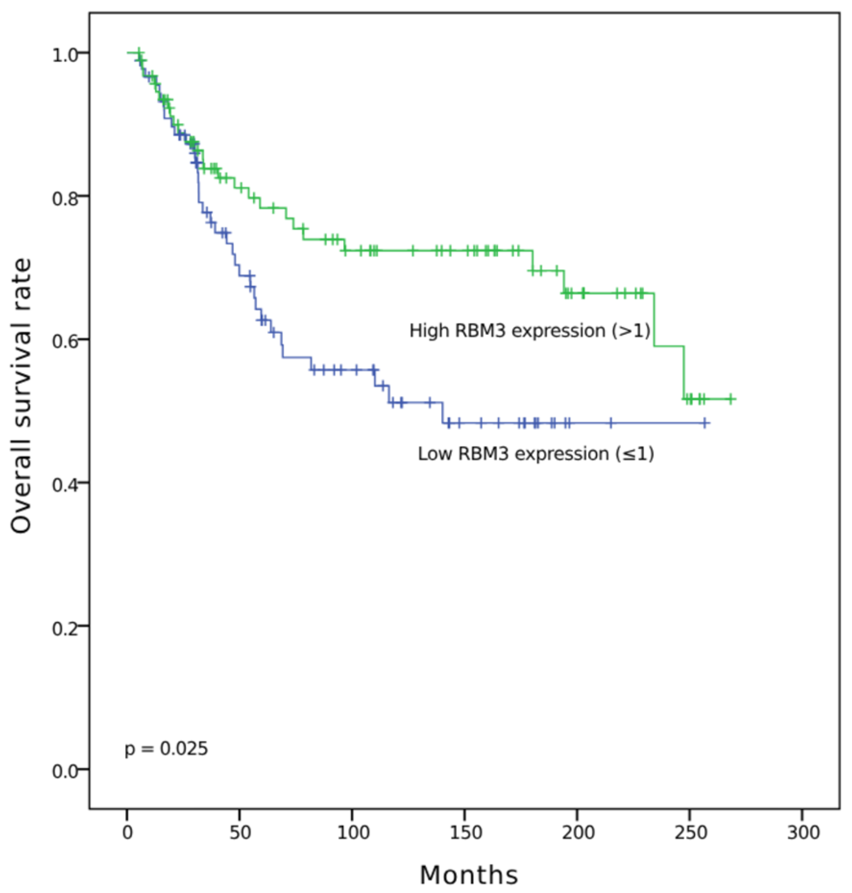 Diagnostics 15 01426 g004