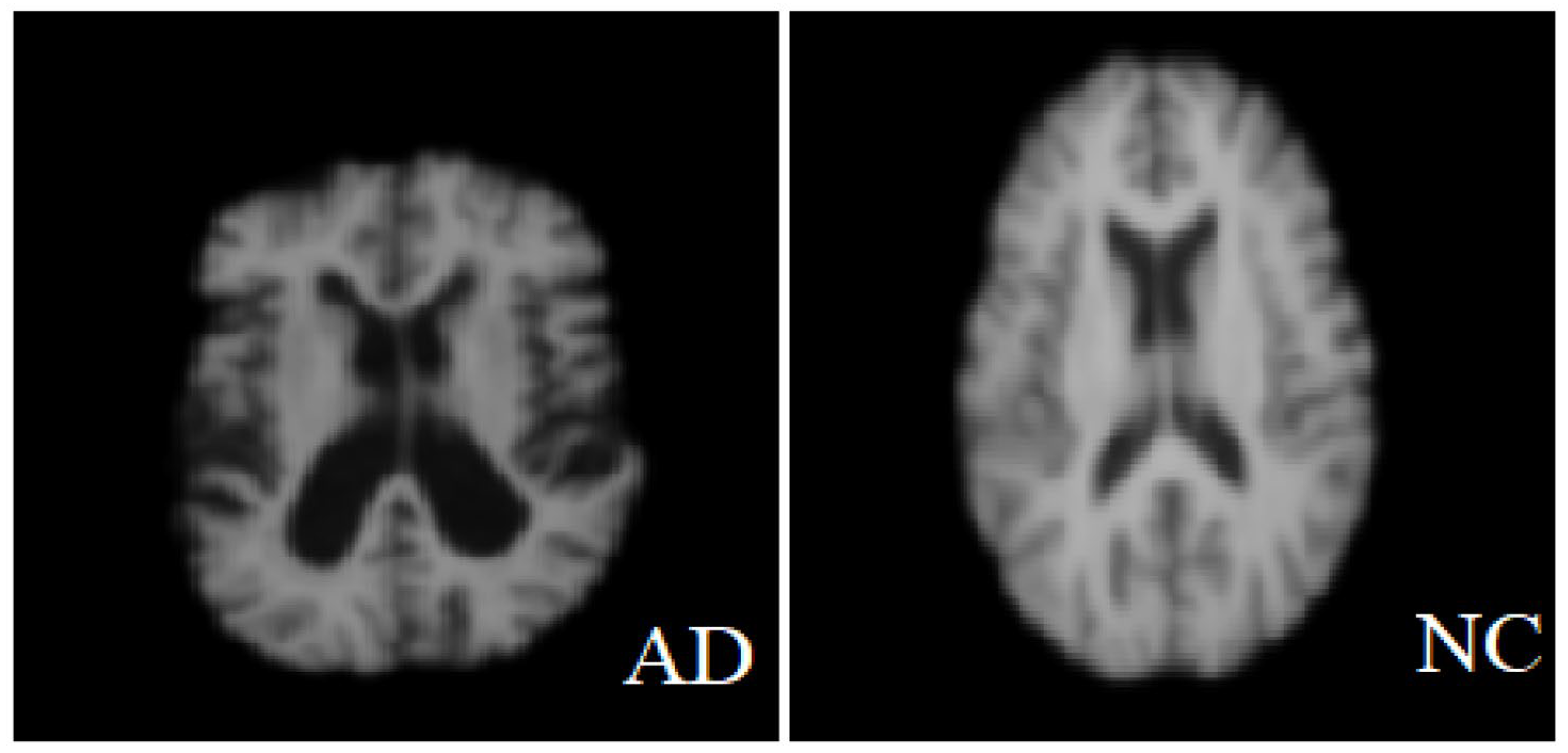 Diagnostics 15 01449 g002