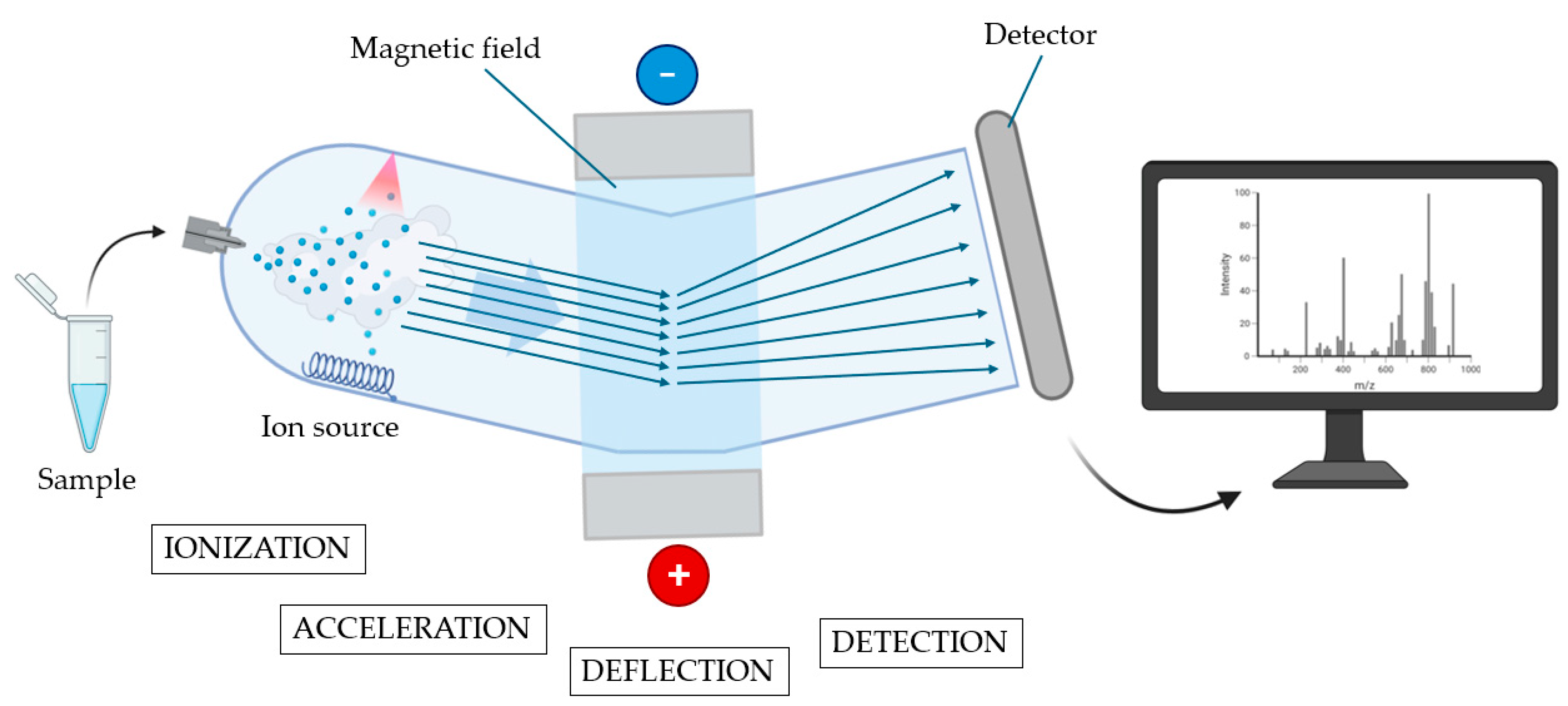 Diagnostics 15 01506 g002 Diagnostics 15 01506 g002