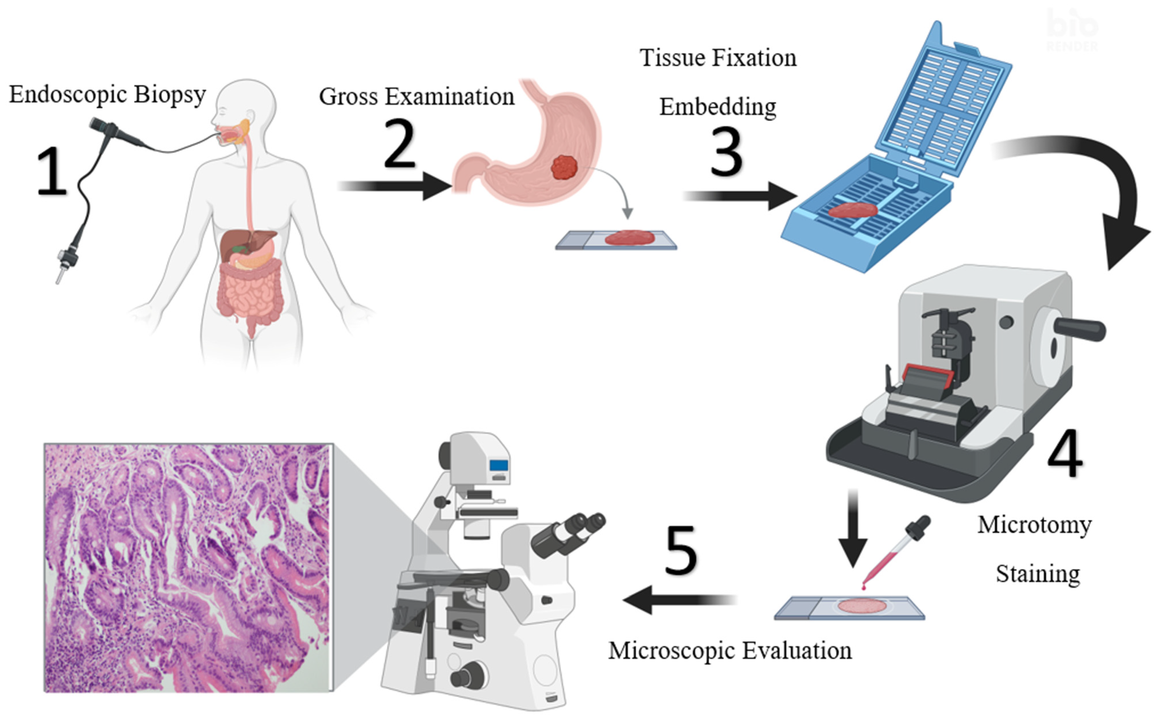Diagnostics 15 01507 g001 Diagnostics 15 01507 g001