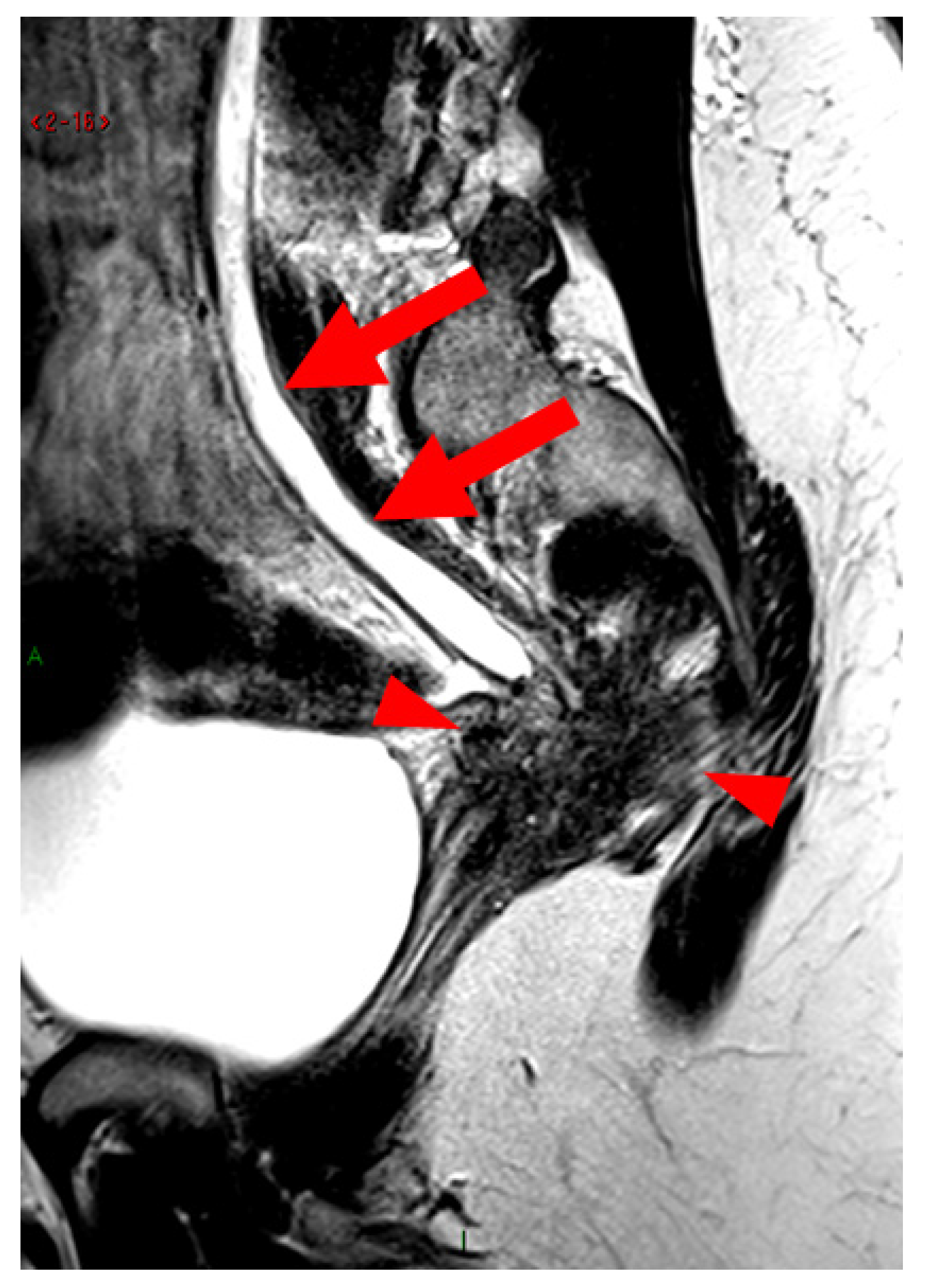 Diagnostics 15 01508 g010
