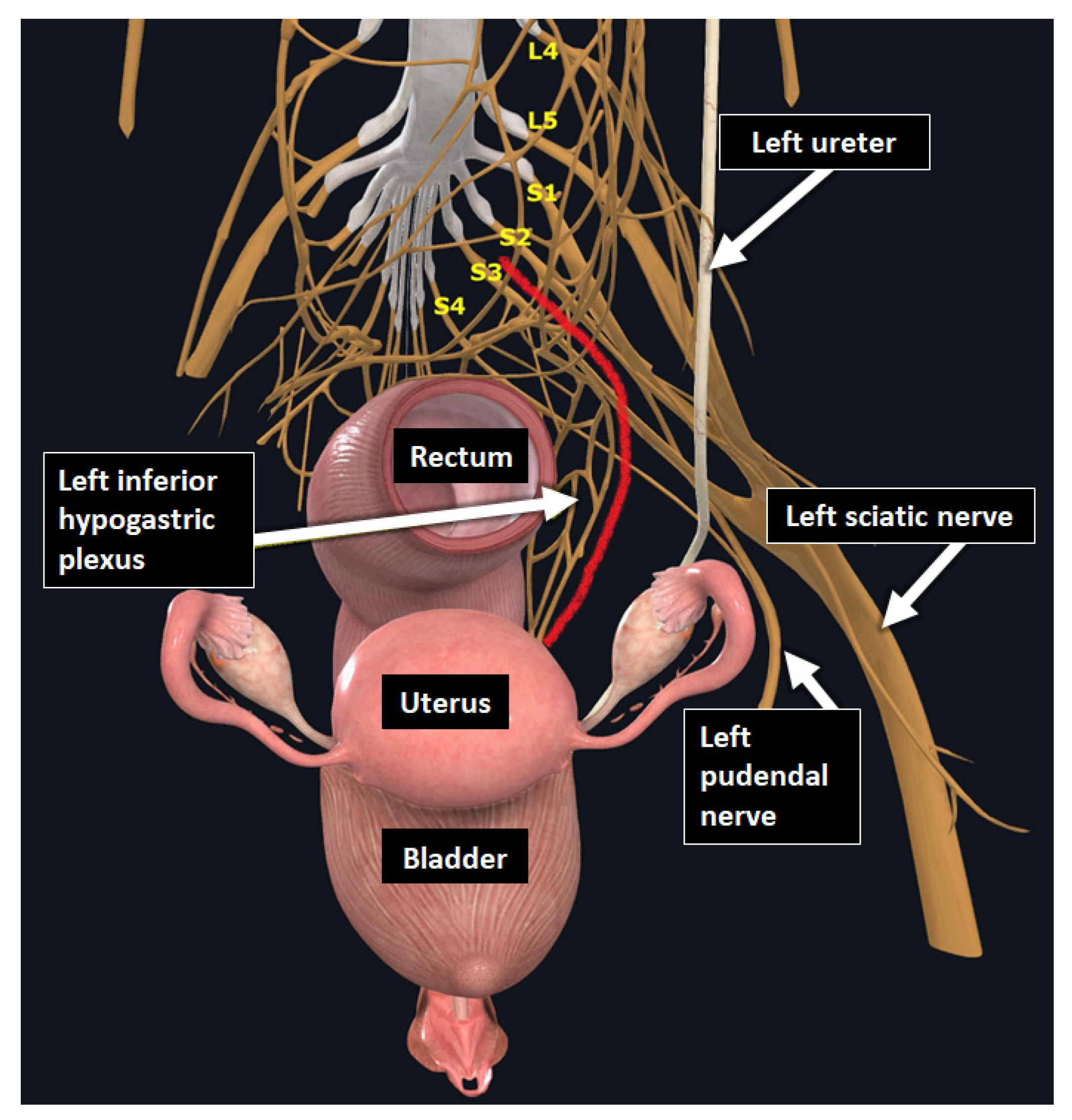 Diagnostics 15 01508 g011