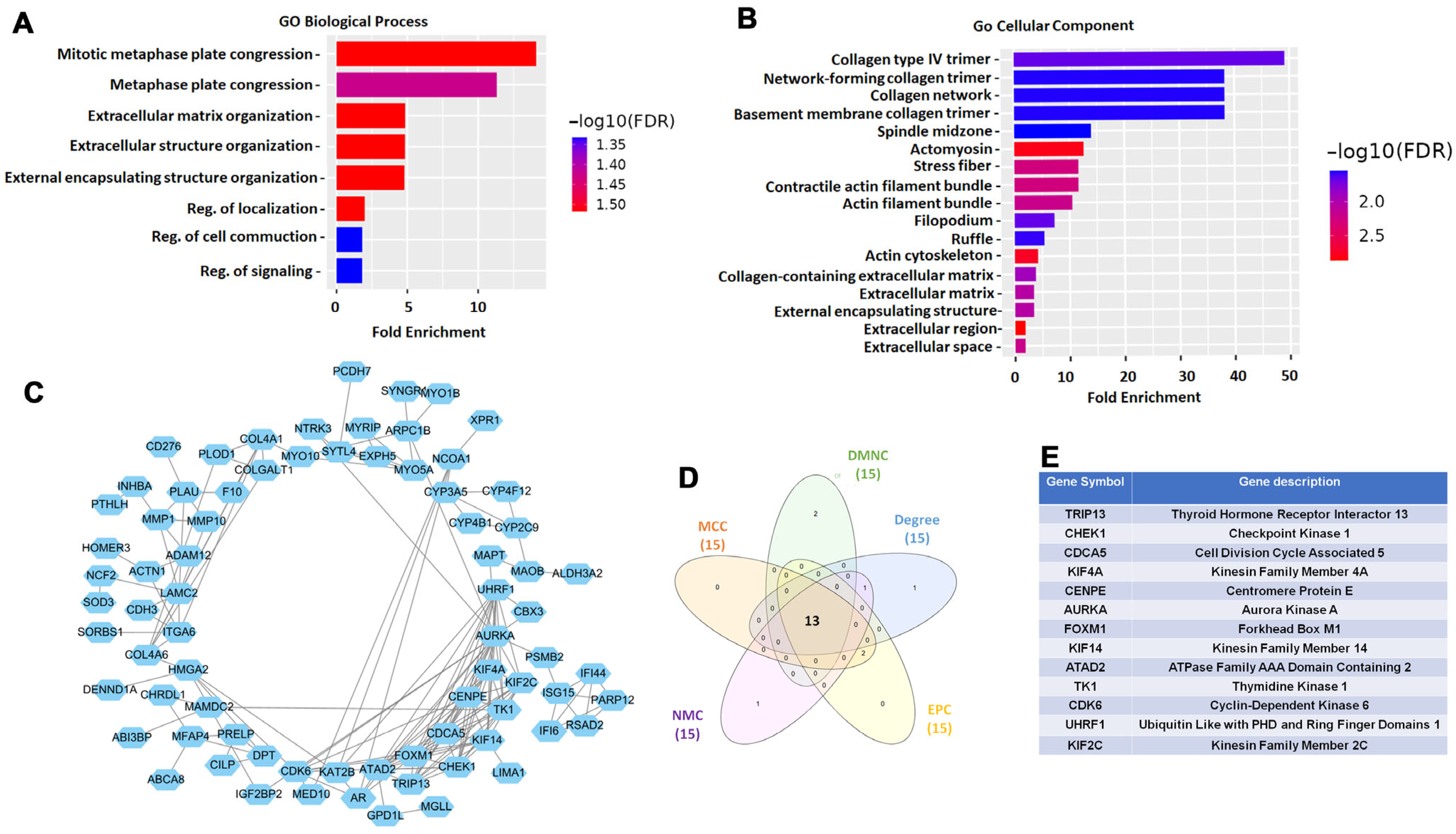 Diagnostics 15 01567 g002