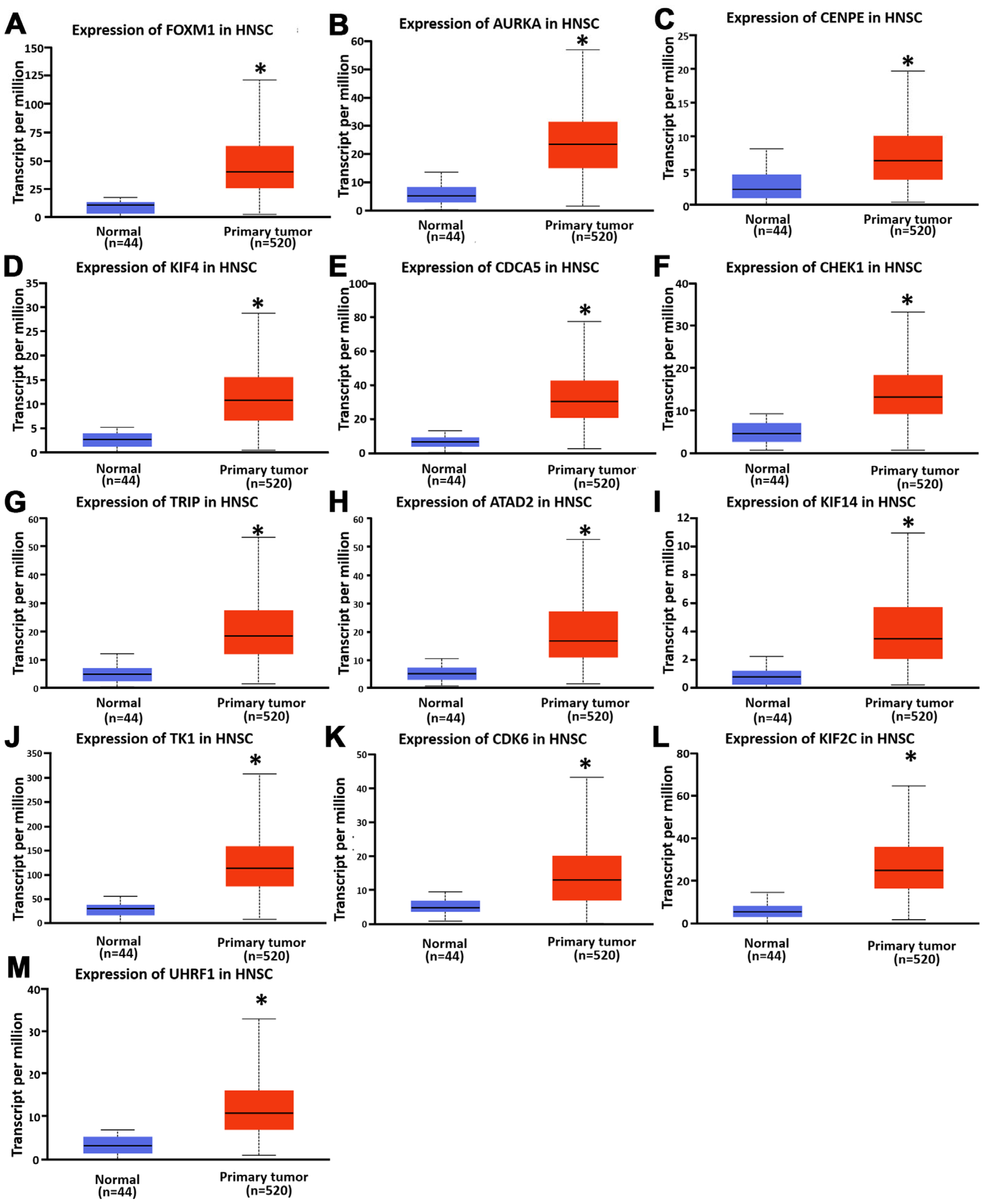 Diagnostics 15 01567 g003