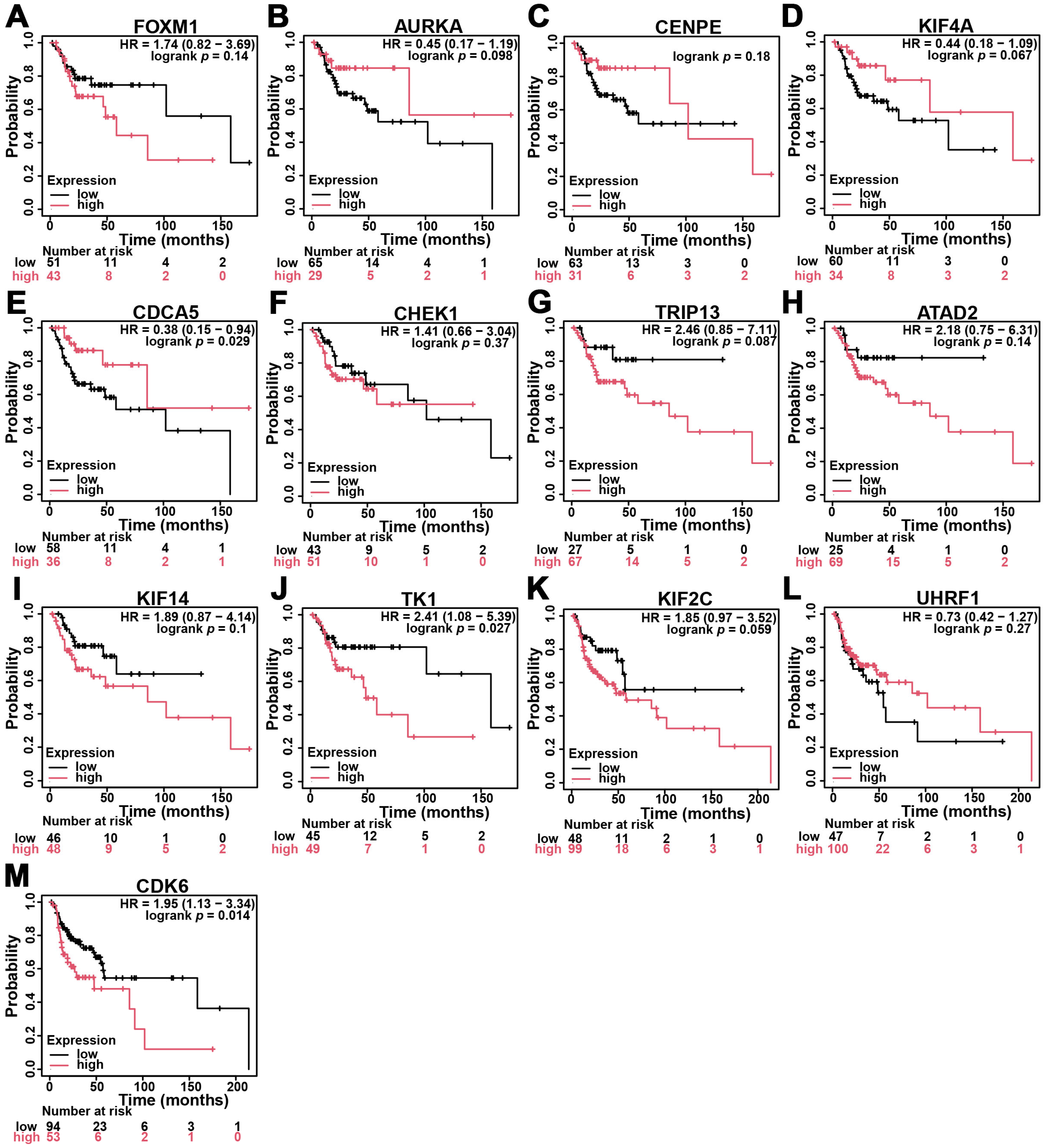 Diagnostics 15 01567 g004