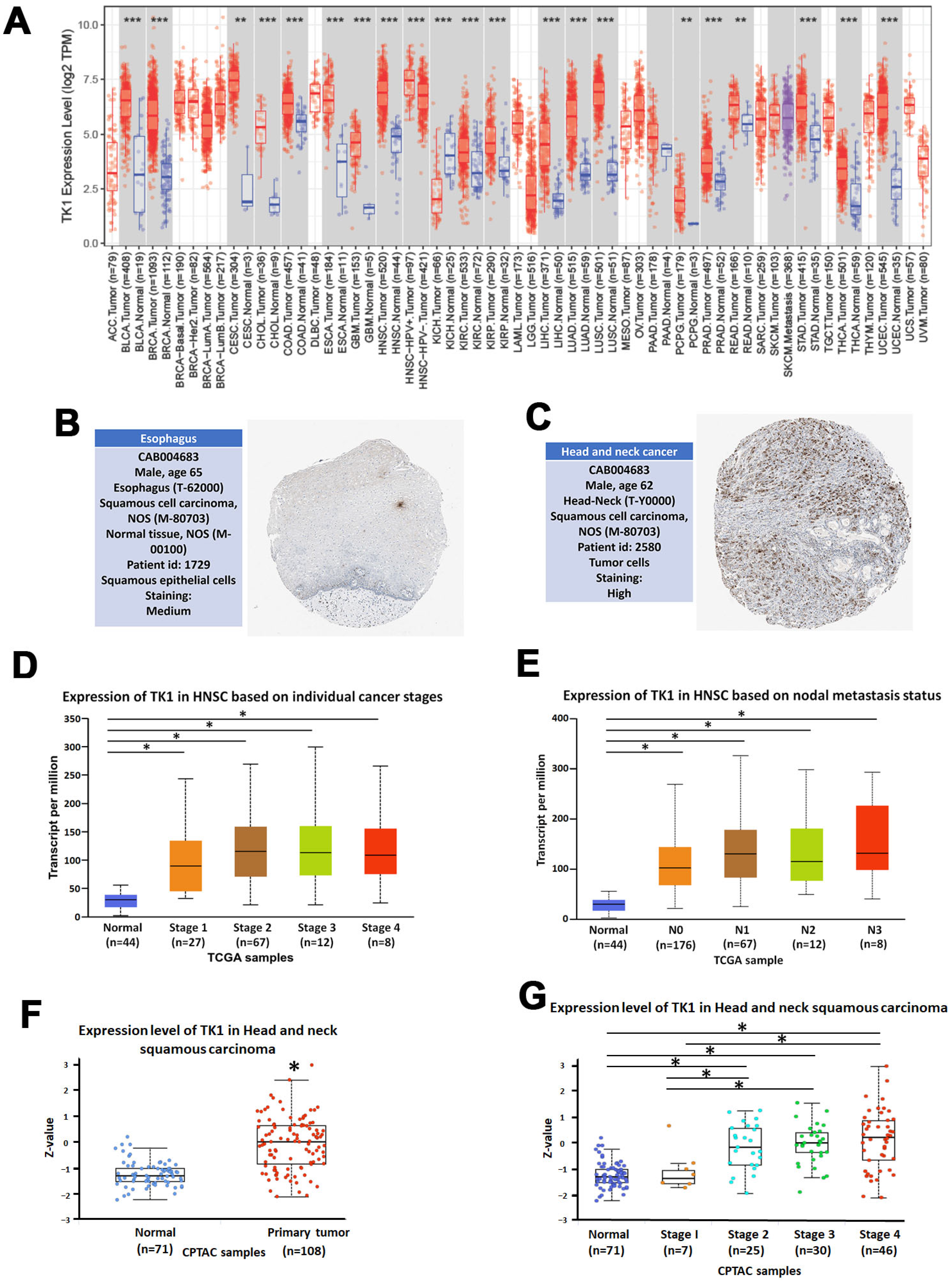 Diagnostics 15 01567 g005