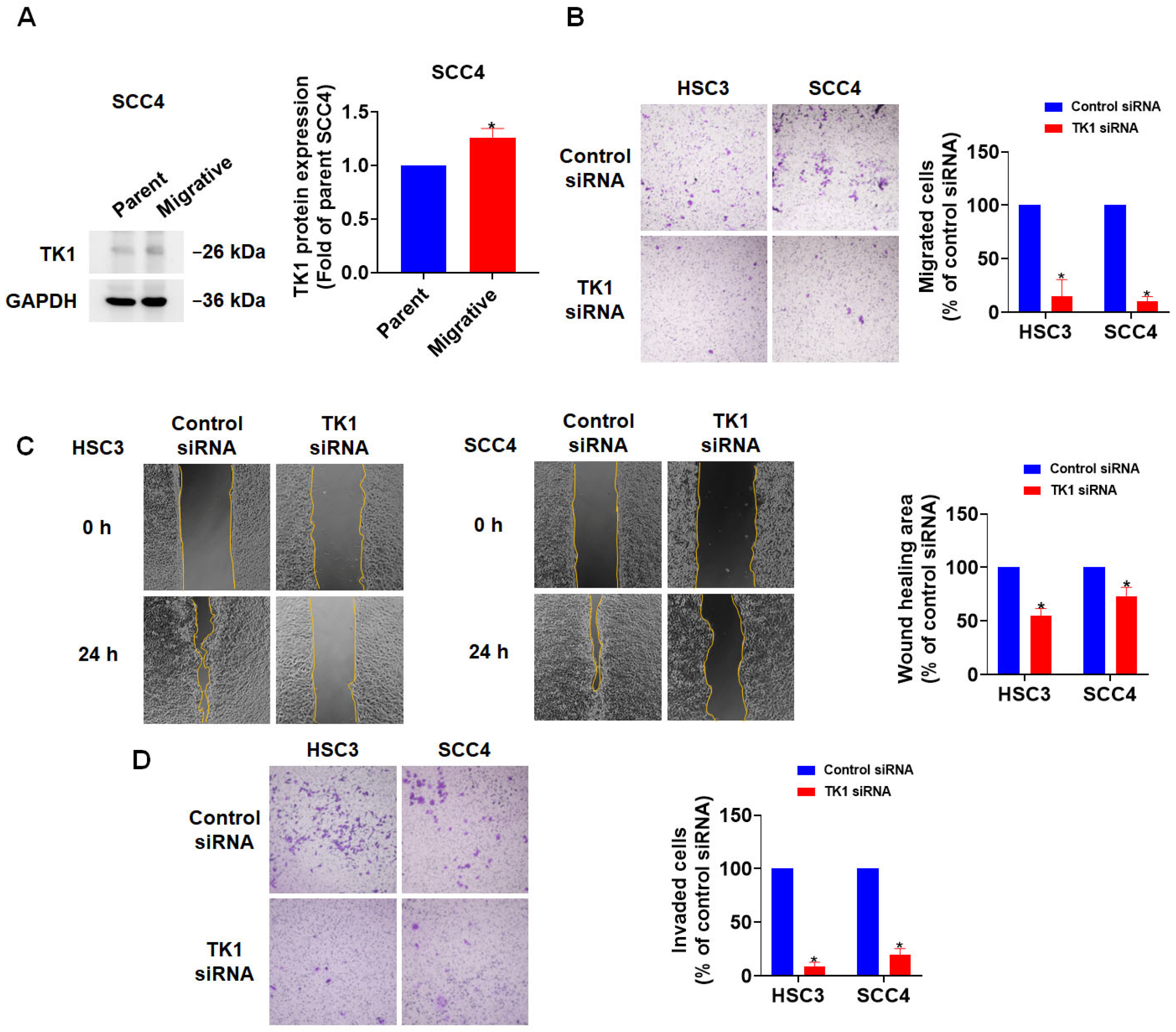 Diagnostics 15 01567 g007