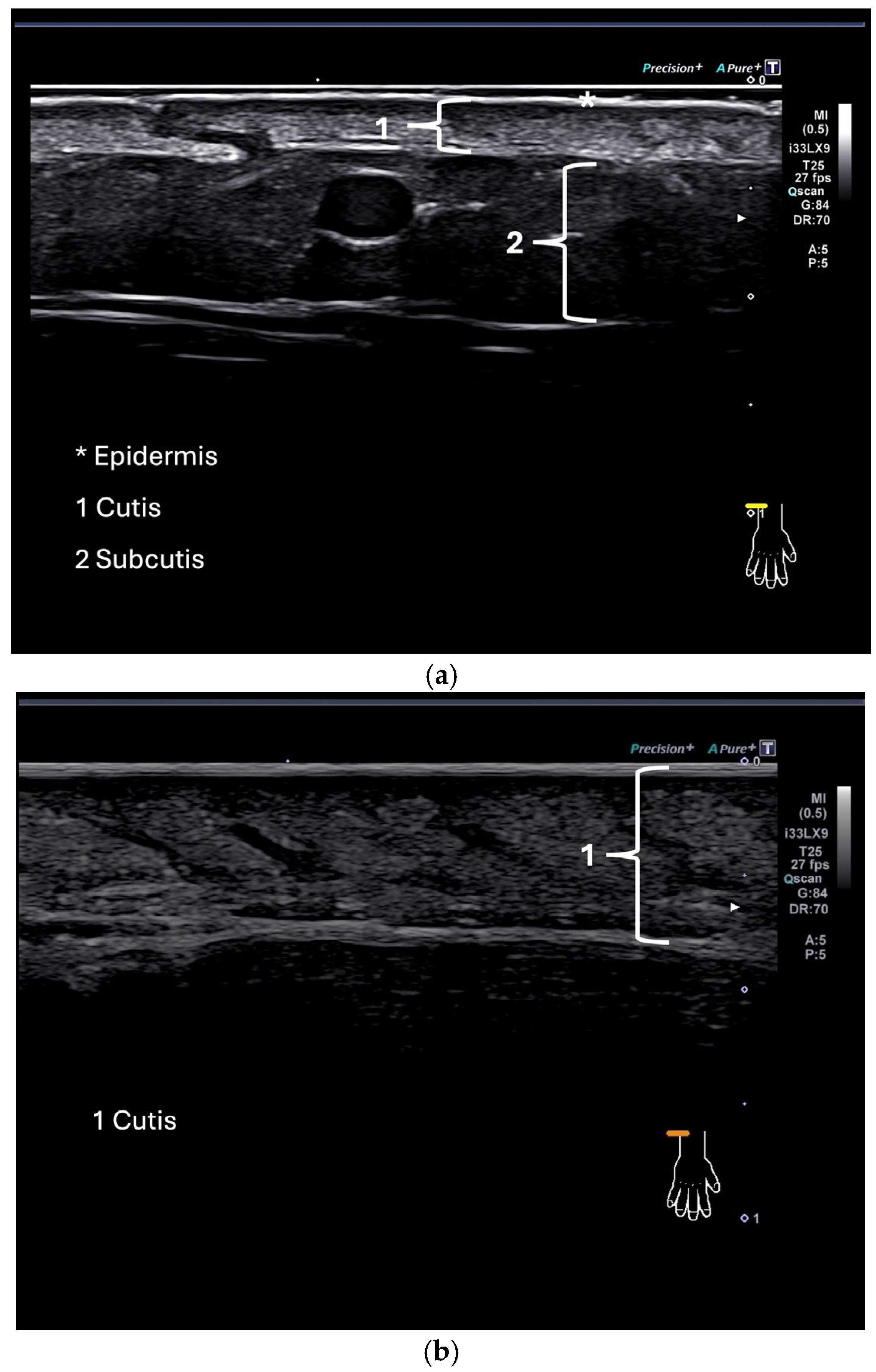 Diagnostics 15 01600 g002