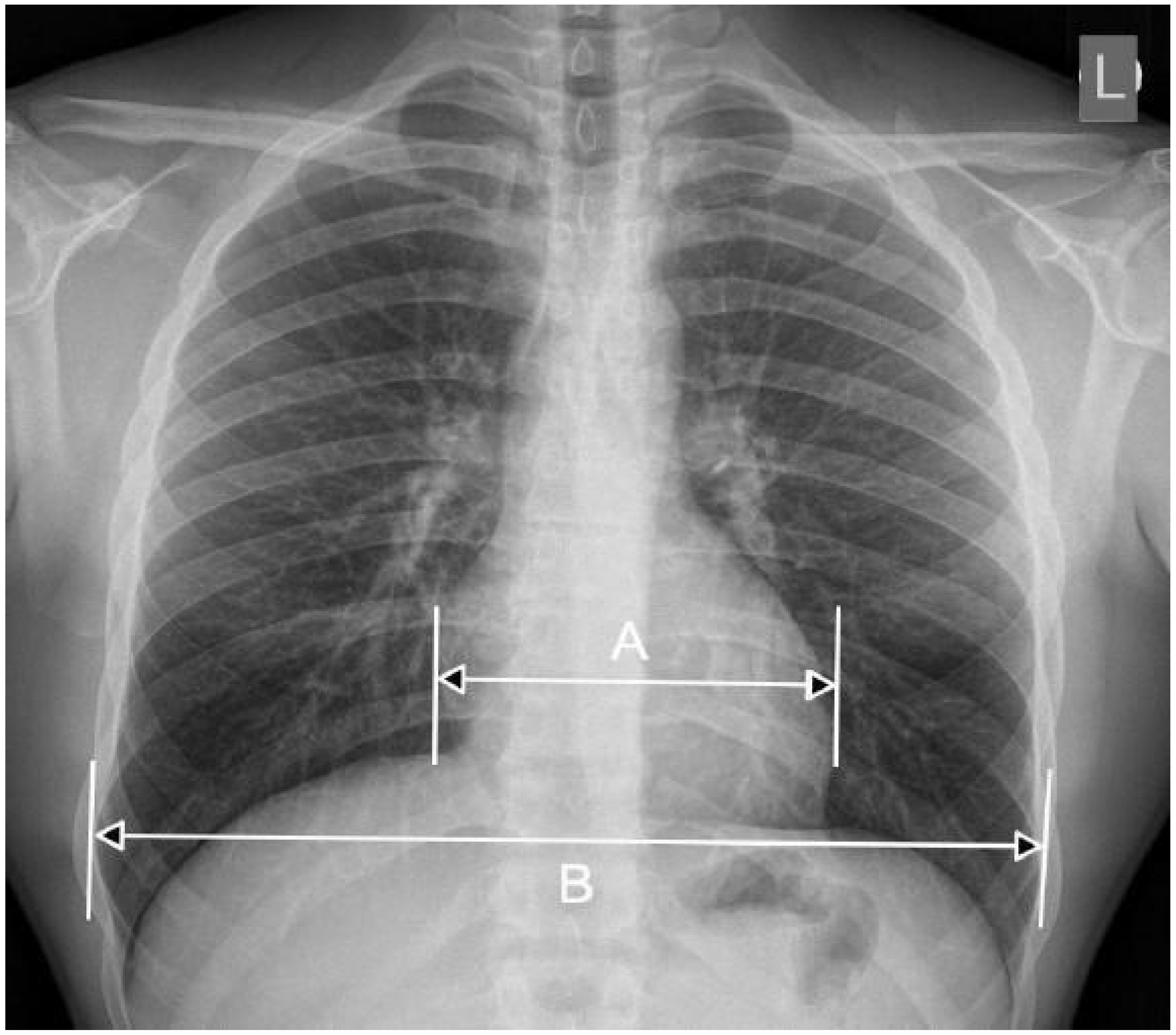Diagnostics 15 01602 g002