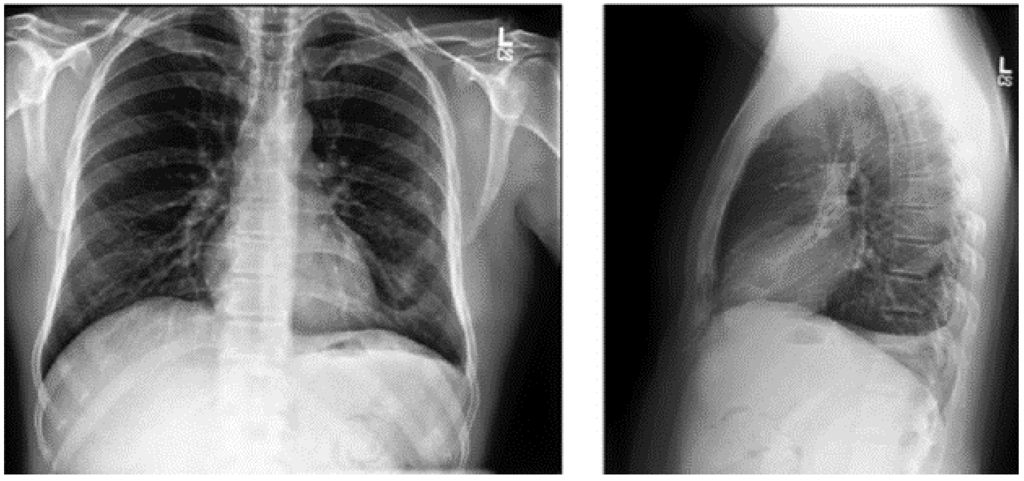 Diagnostics 15 01602 g004