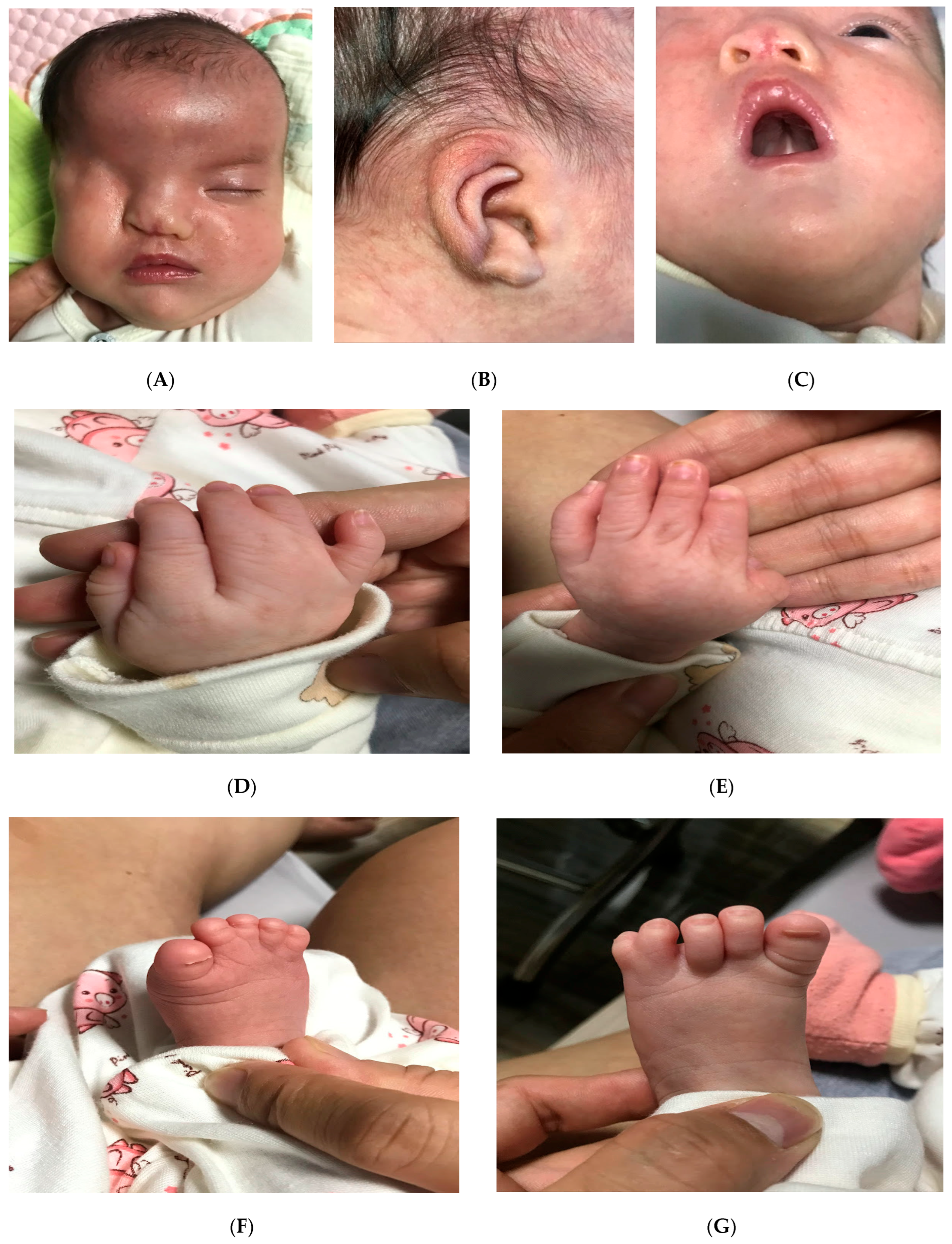 Diagnostics 15 01606 g002