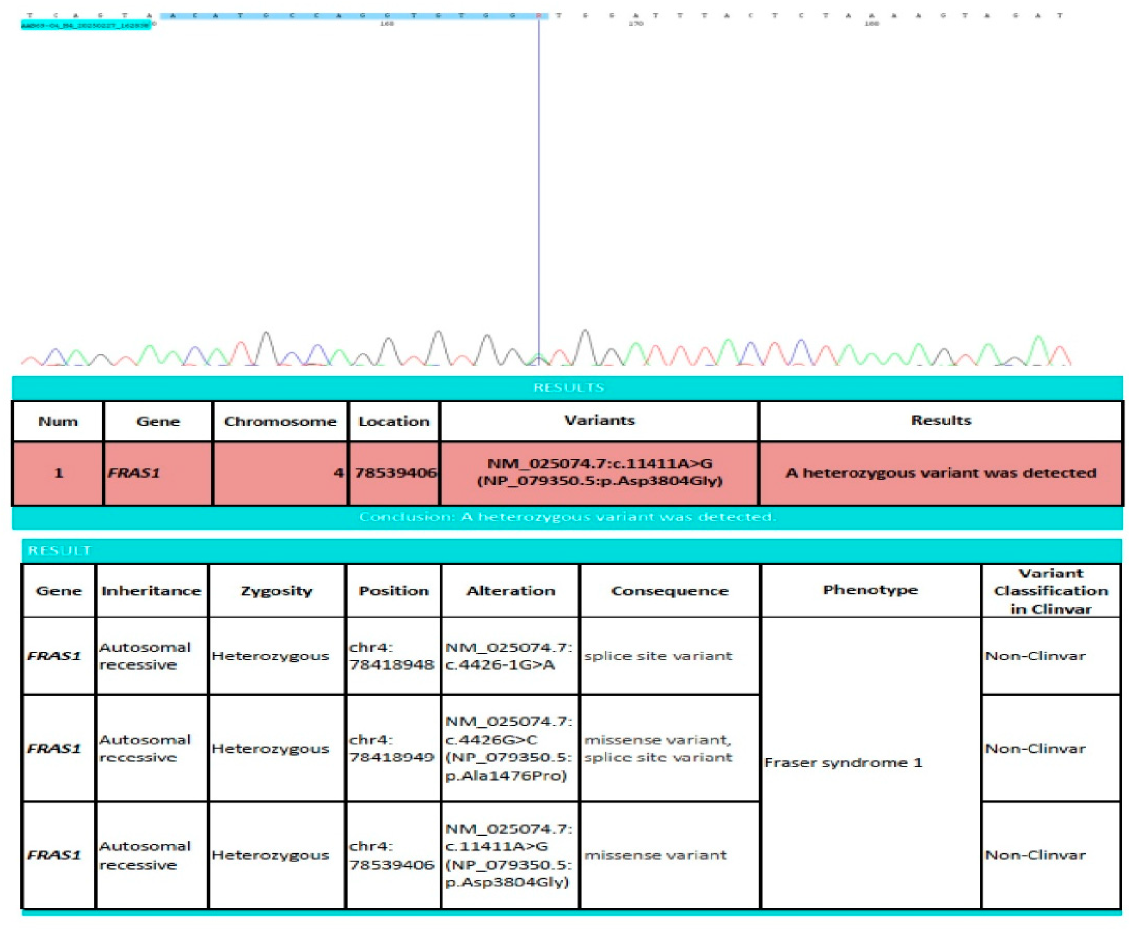 Diagnostics 15 01606 g003