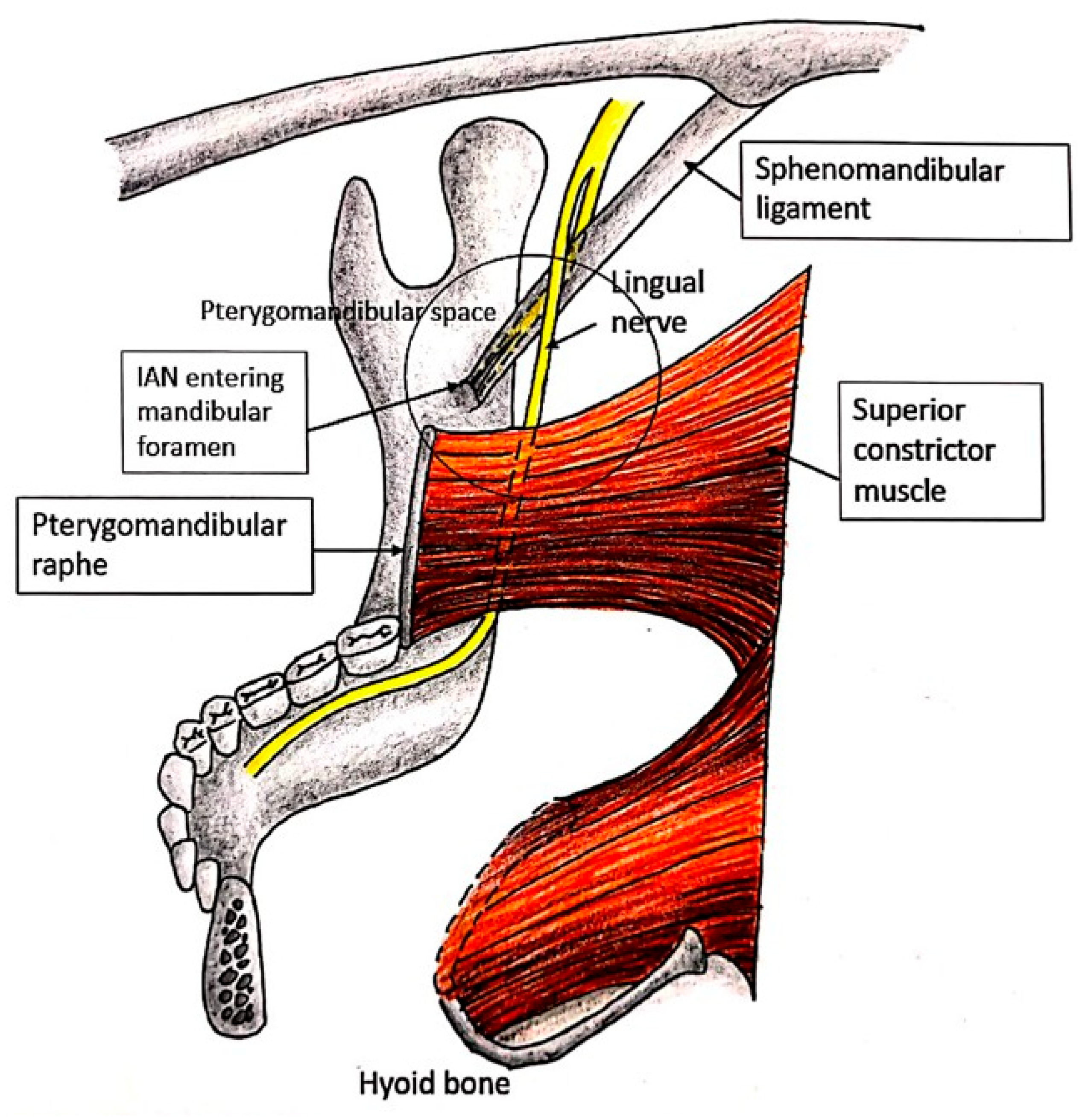 Diagnostics 15 01609 g002