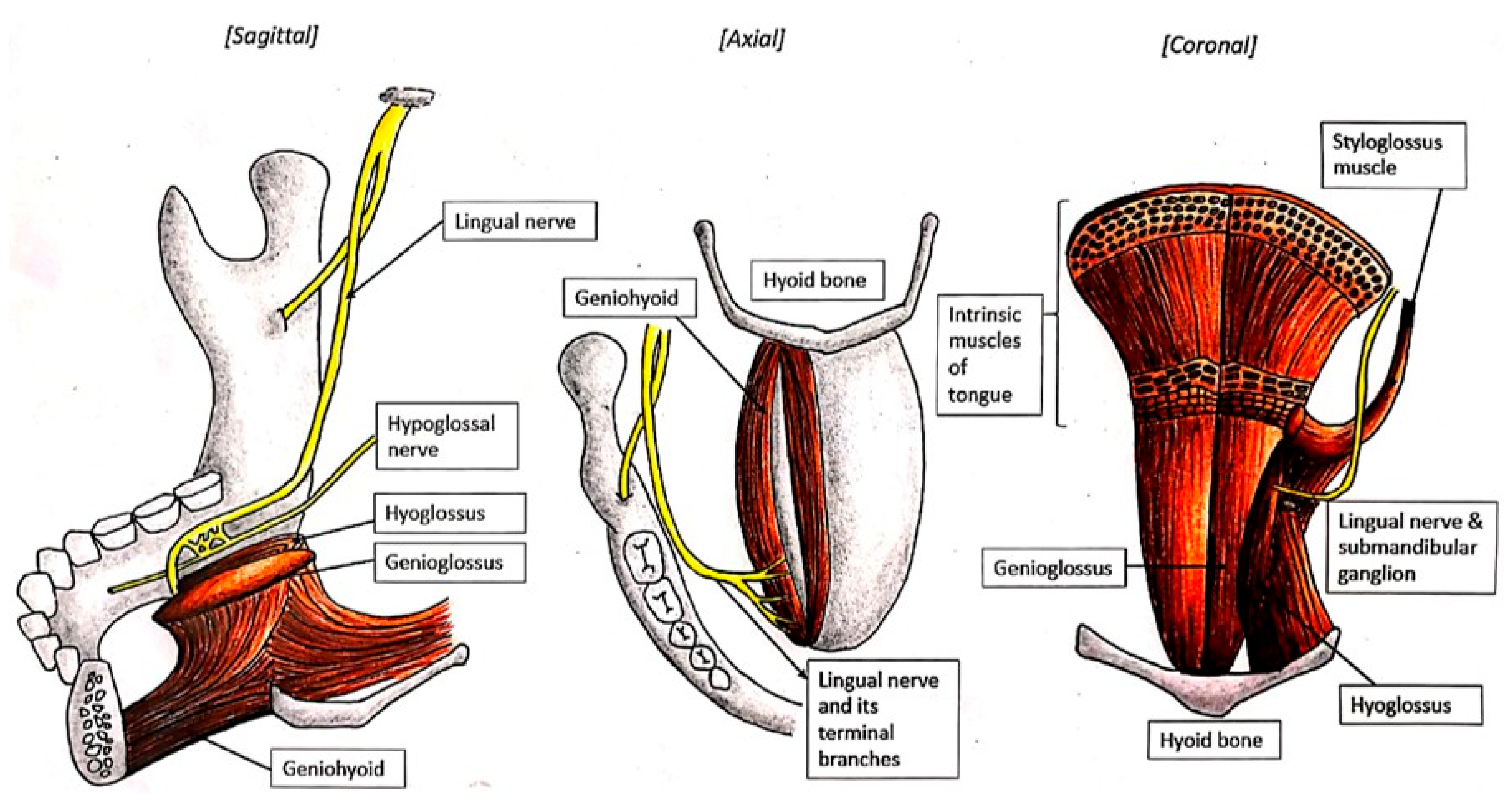 Diagnostics 15 01609 g004