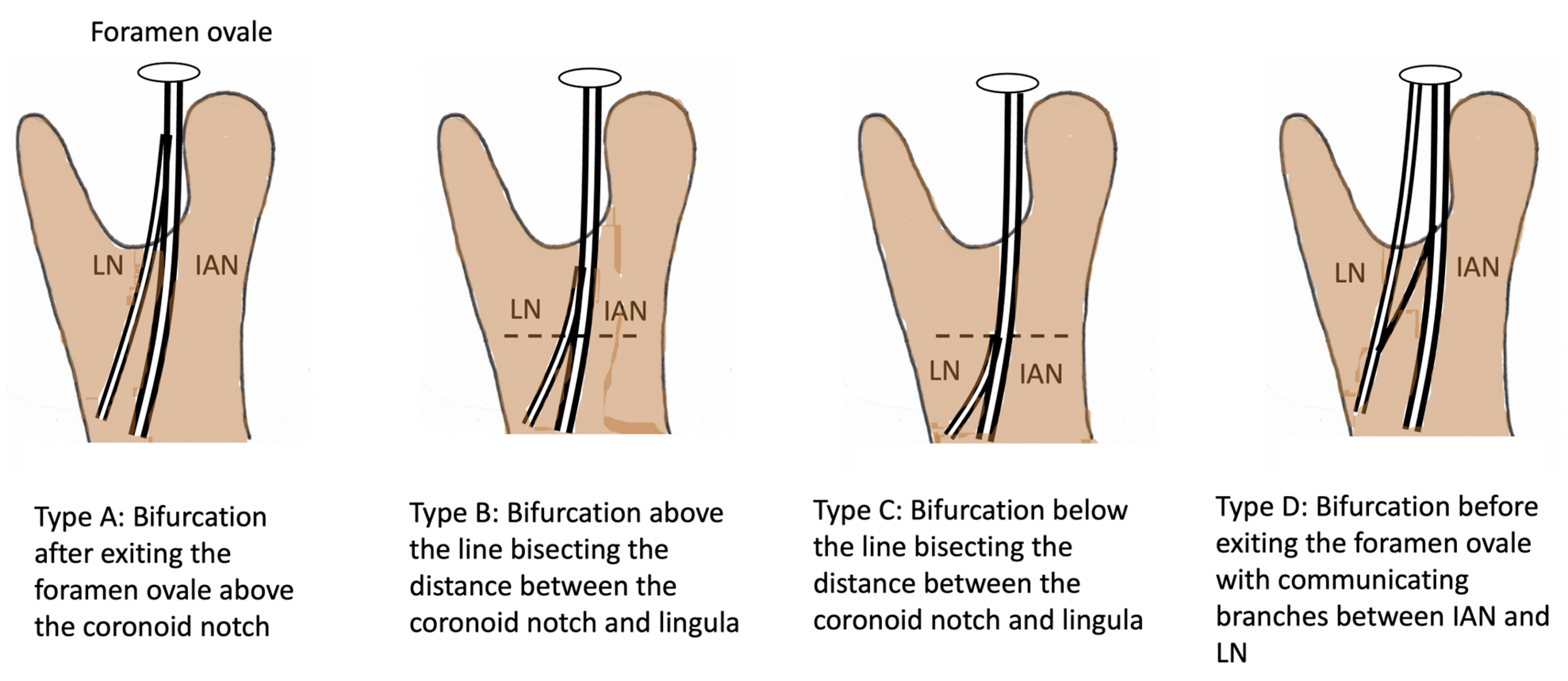 Diagnostics 15 01609 g006