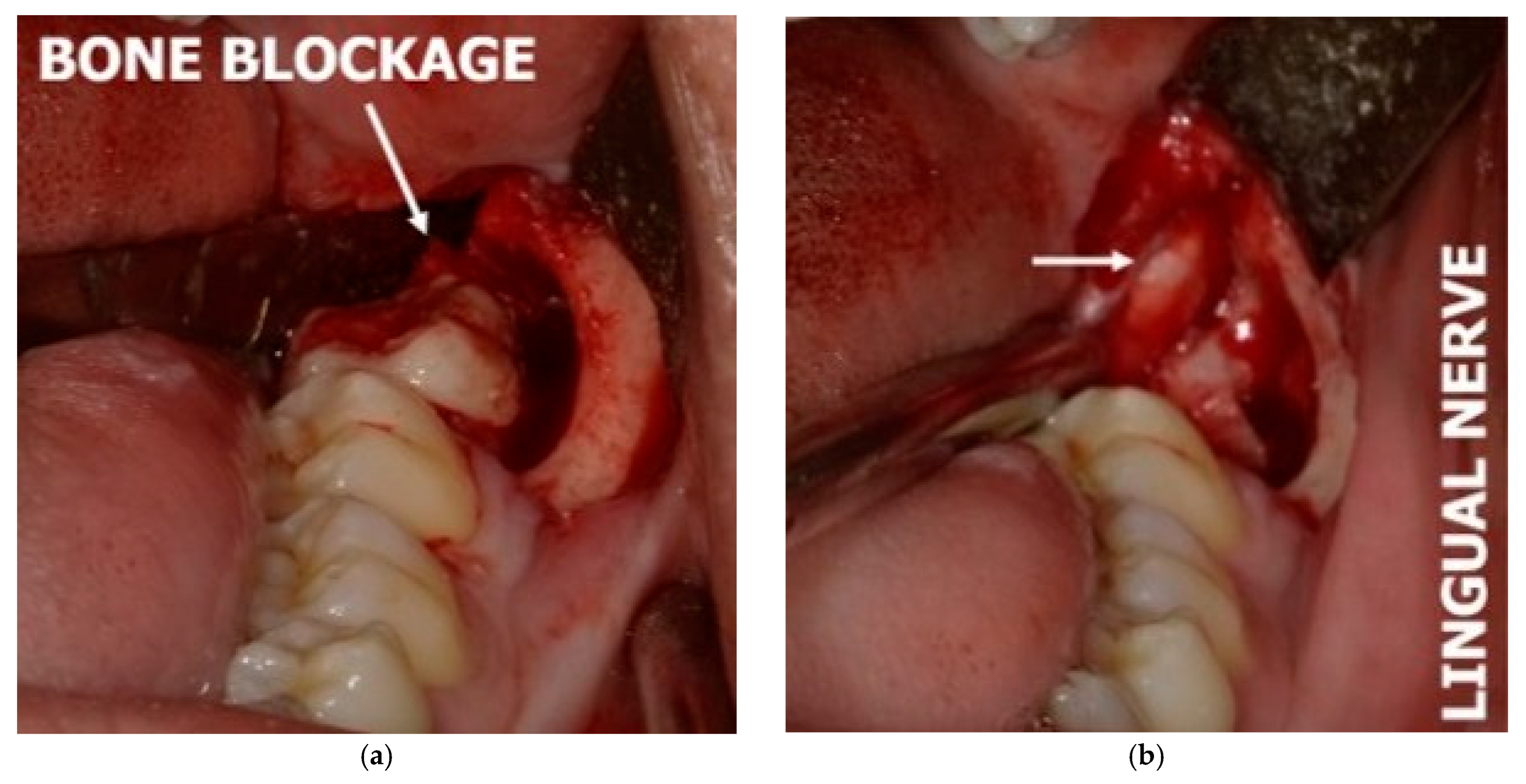 Diagnostics 15 01609 g007