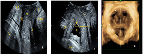 Diagnostics 15 01630 g002