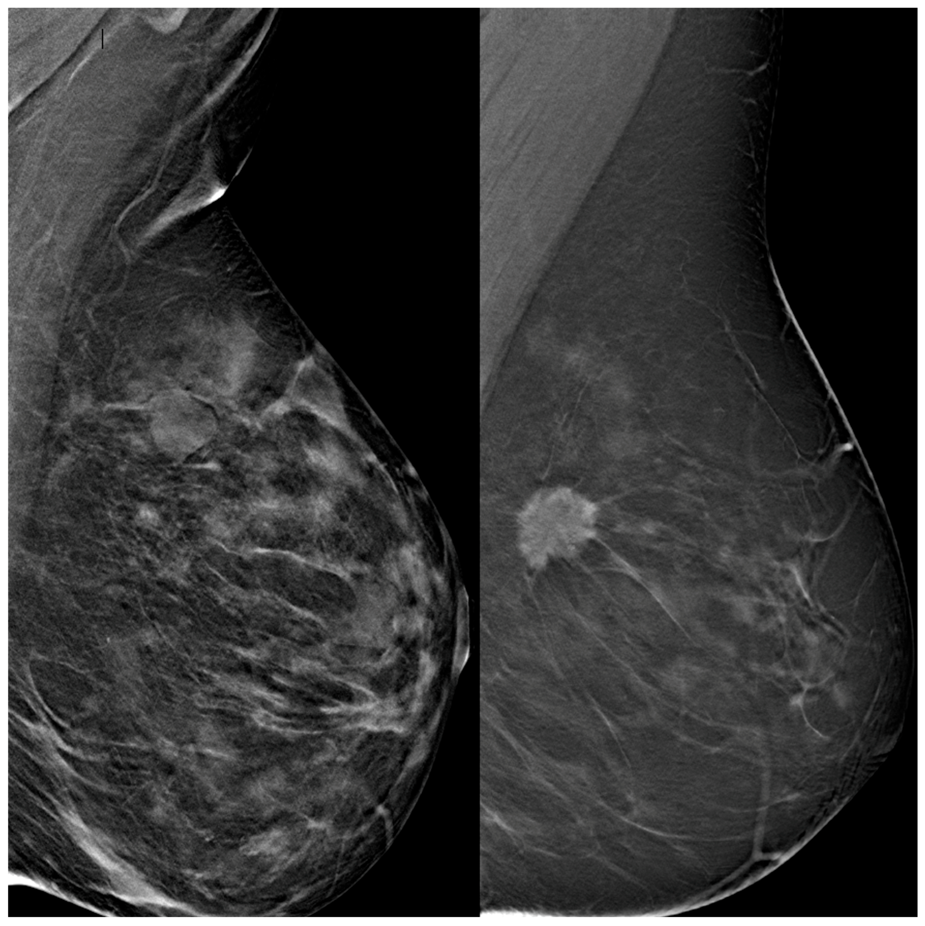 Diagnostics 15 01631 g002