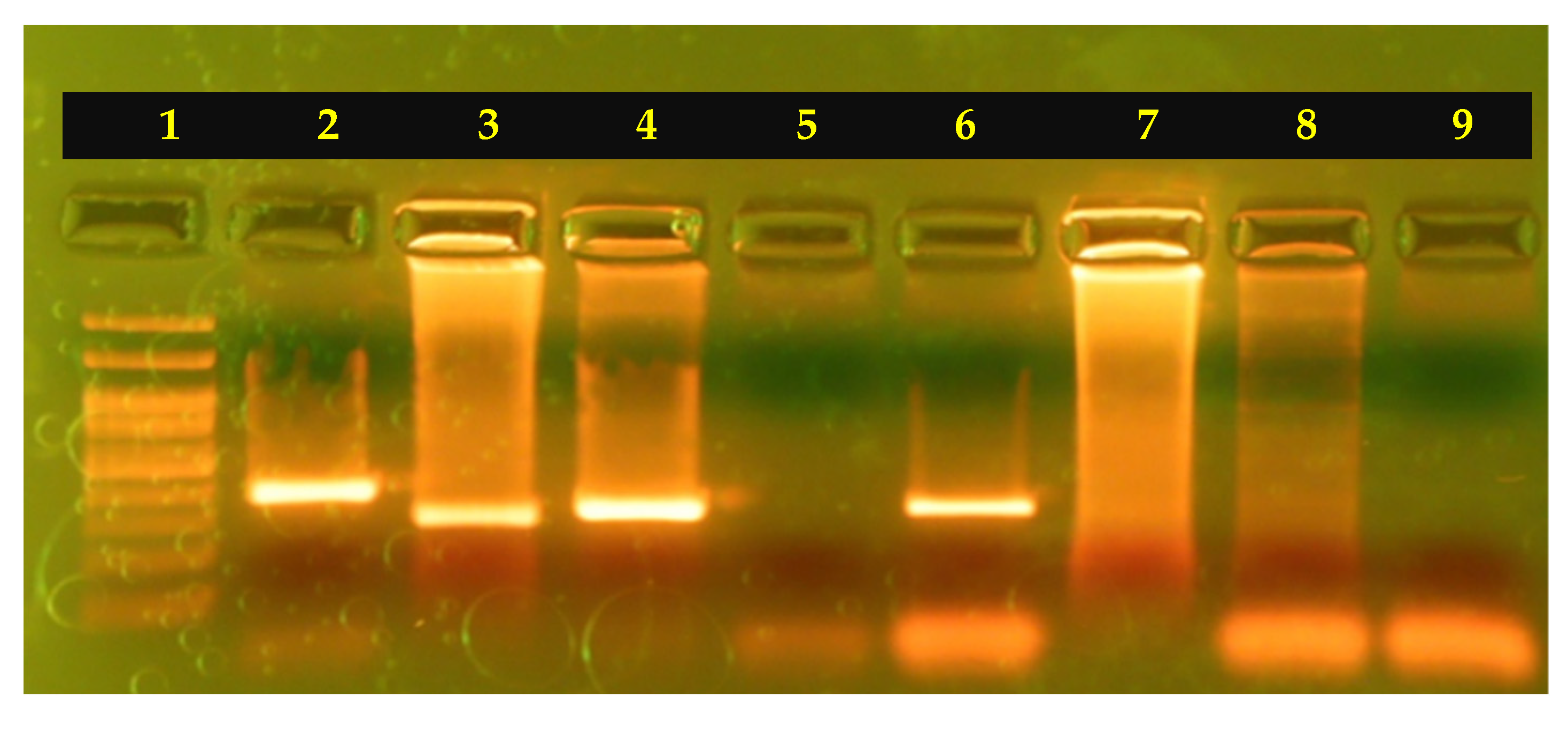 Diagnostics 15 01632 g002