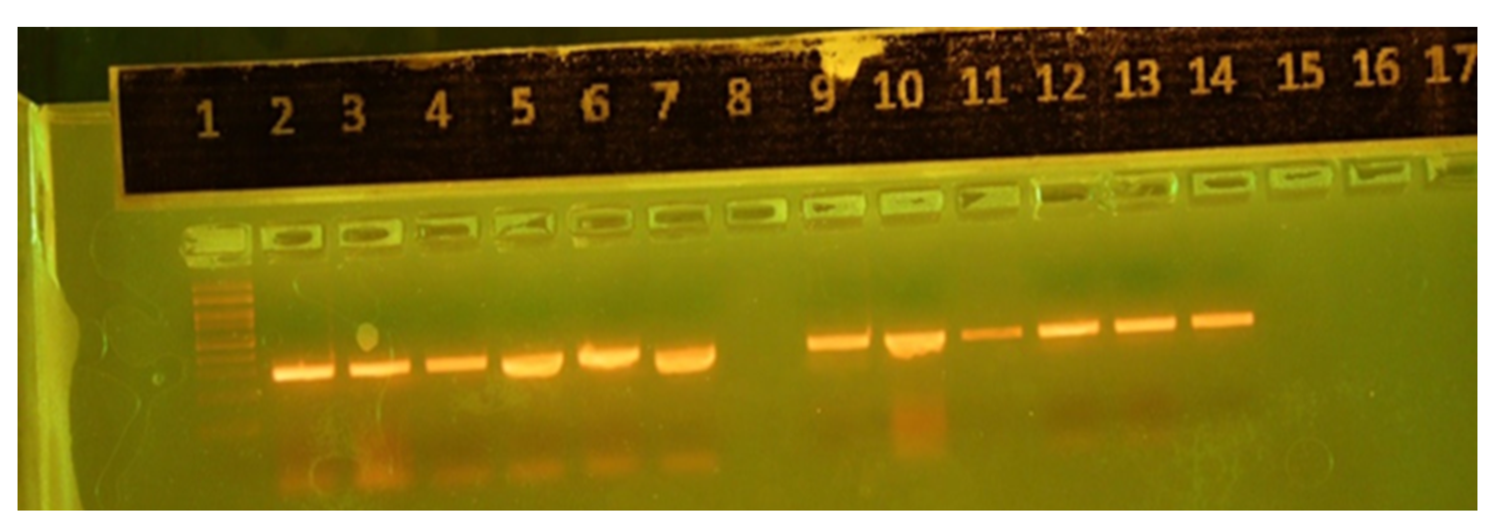 Diagnostics 15 01632 g003