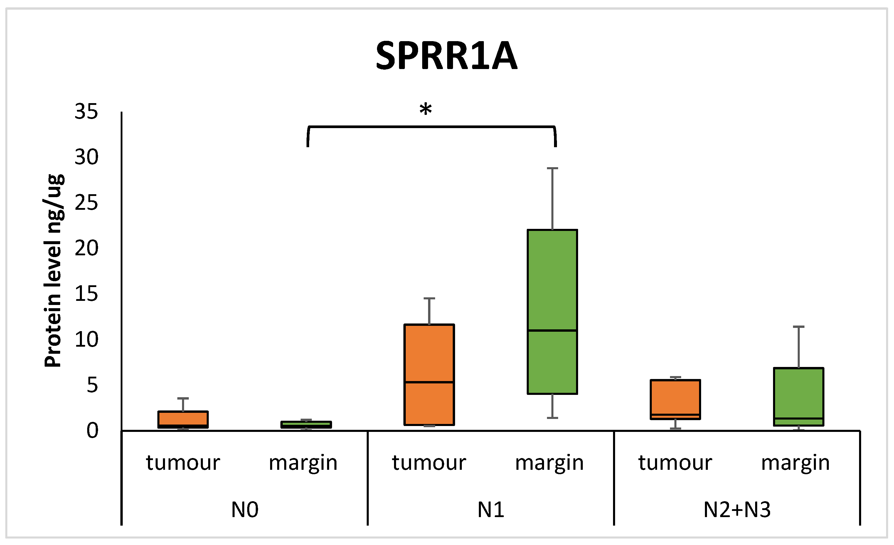 Diagnostics 15 01633 g001