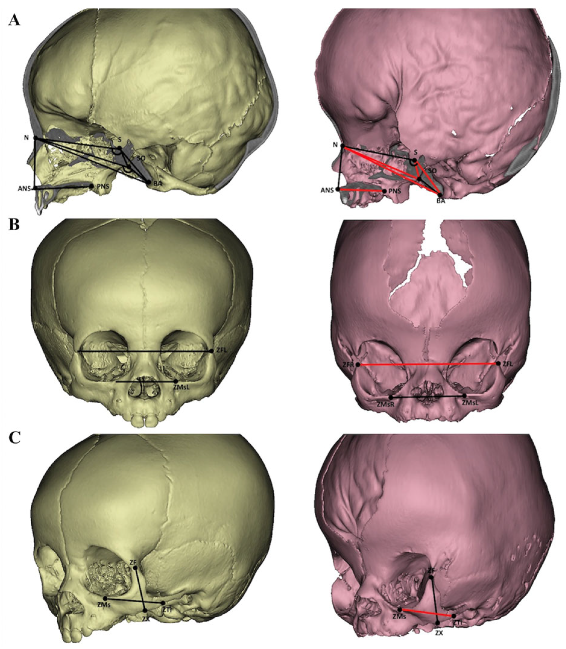 Diagnostics 15 01640 g001