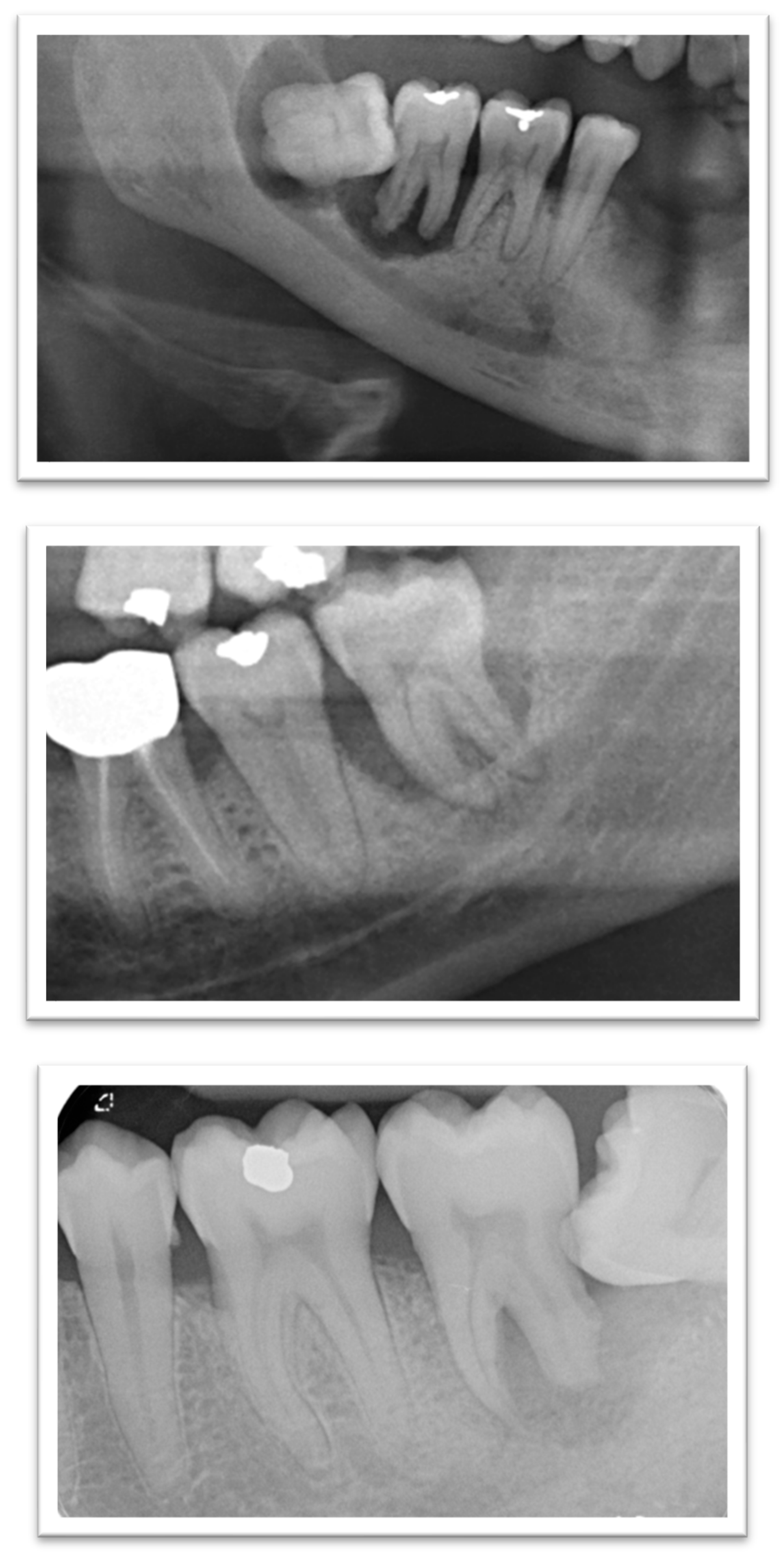 Diagnostics 15 01643 g002 Diagnostics 15 01643 g002
