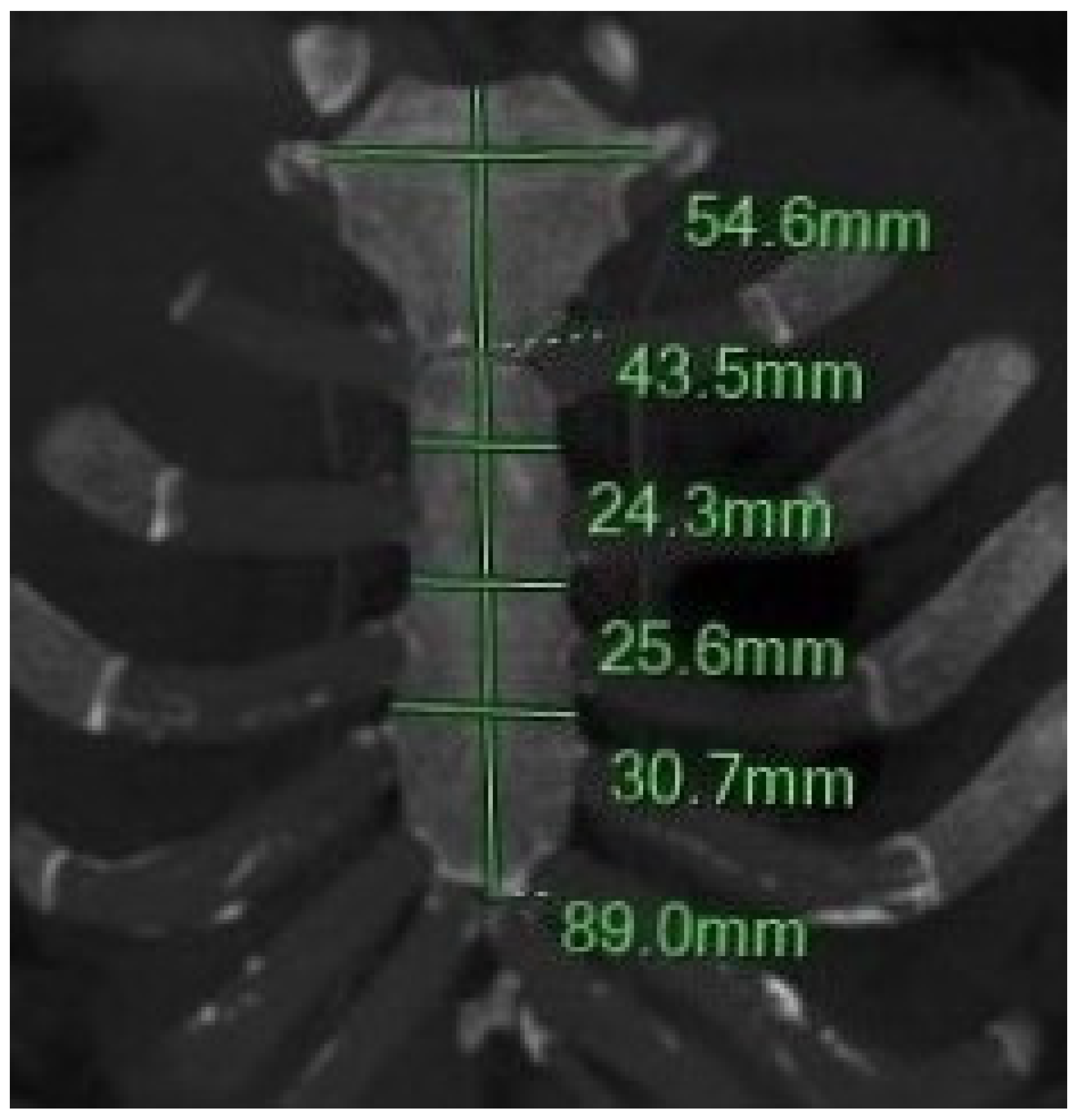 Diagnostics 15 01649 g001